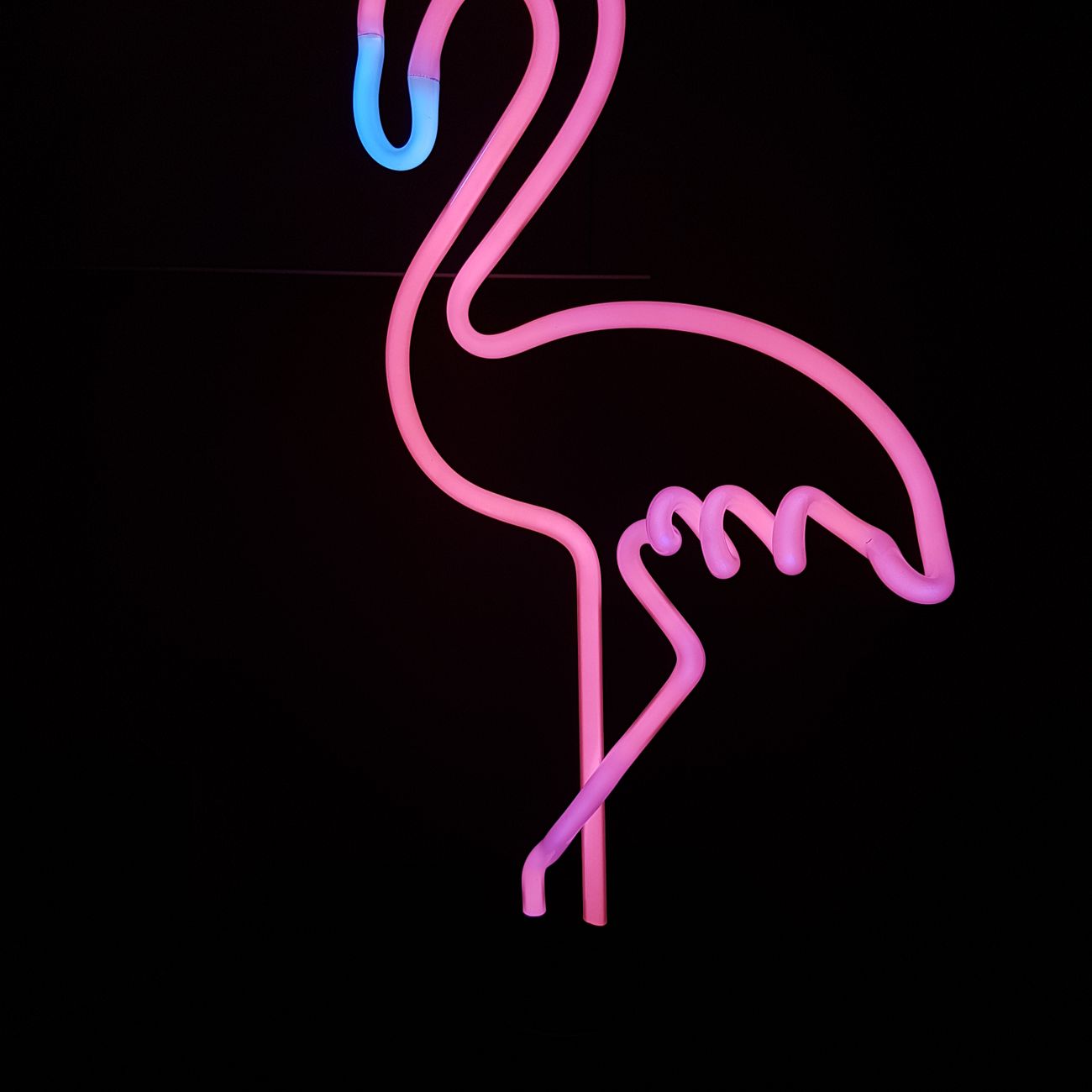 kb-neonlampa-flamingo-2