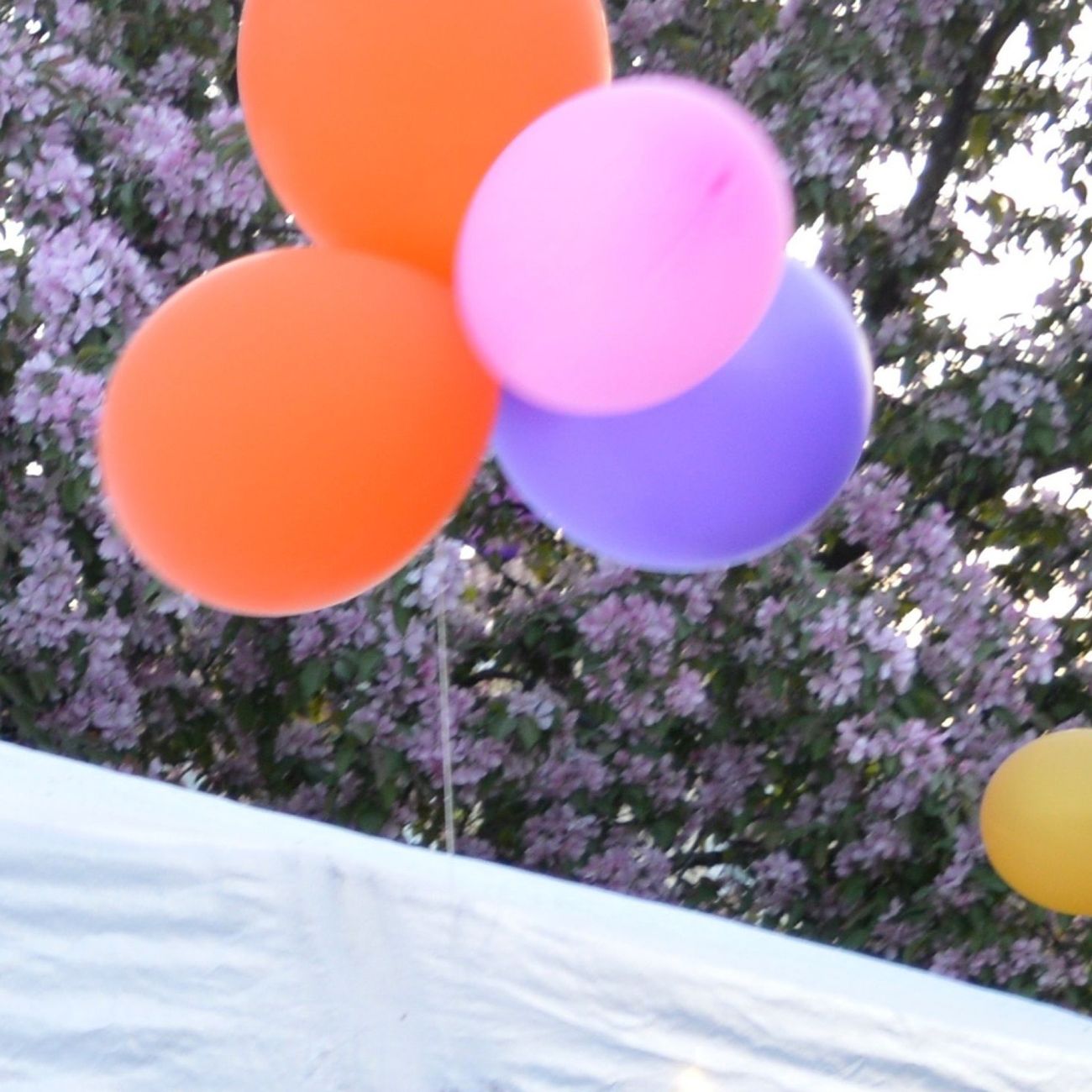Kundebilde av Ballonger Neonfargede