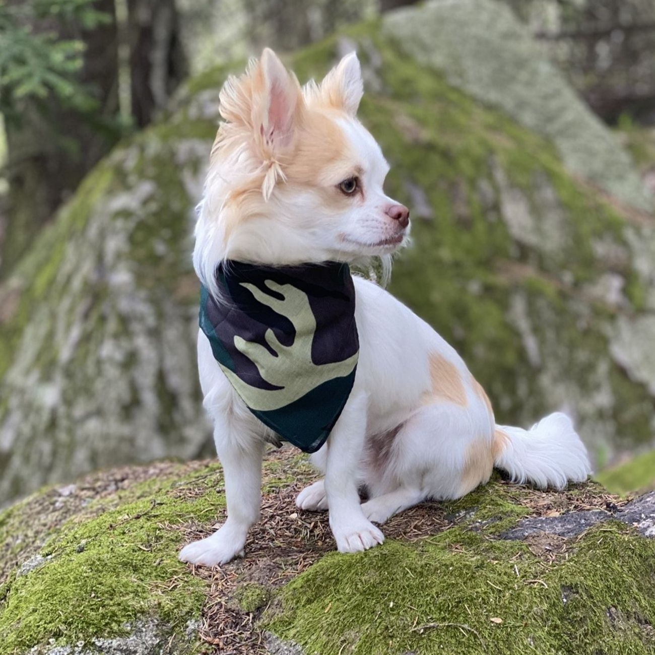 Kundbild på Bandana Kamouflagefärgad