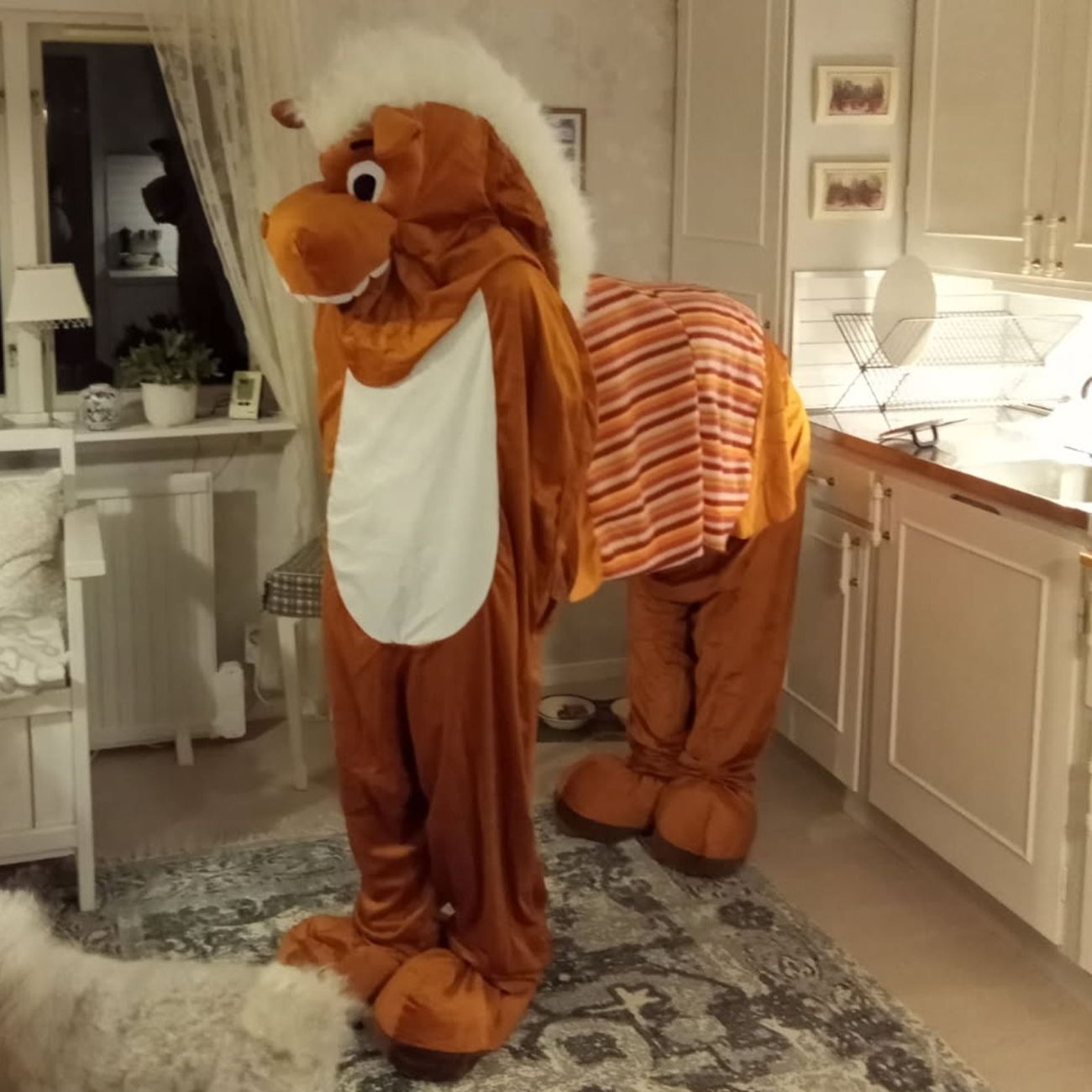 Kundbild på Häst för Två Maskeraddräkt