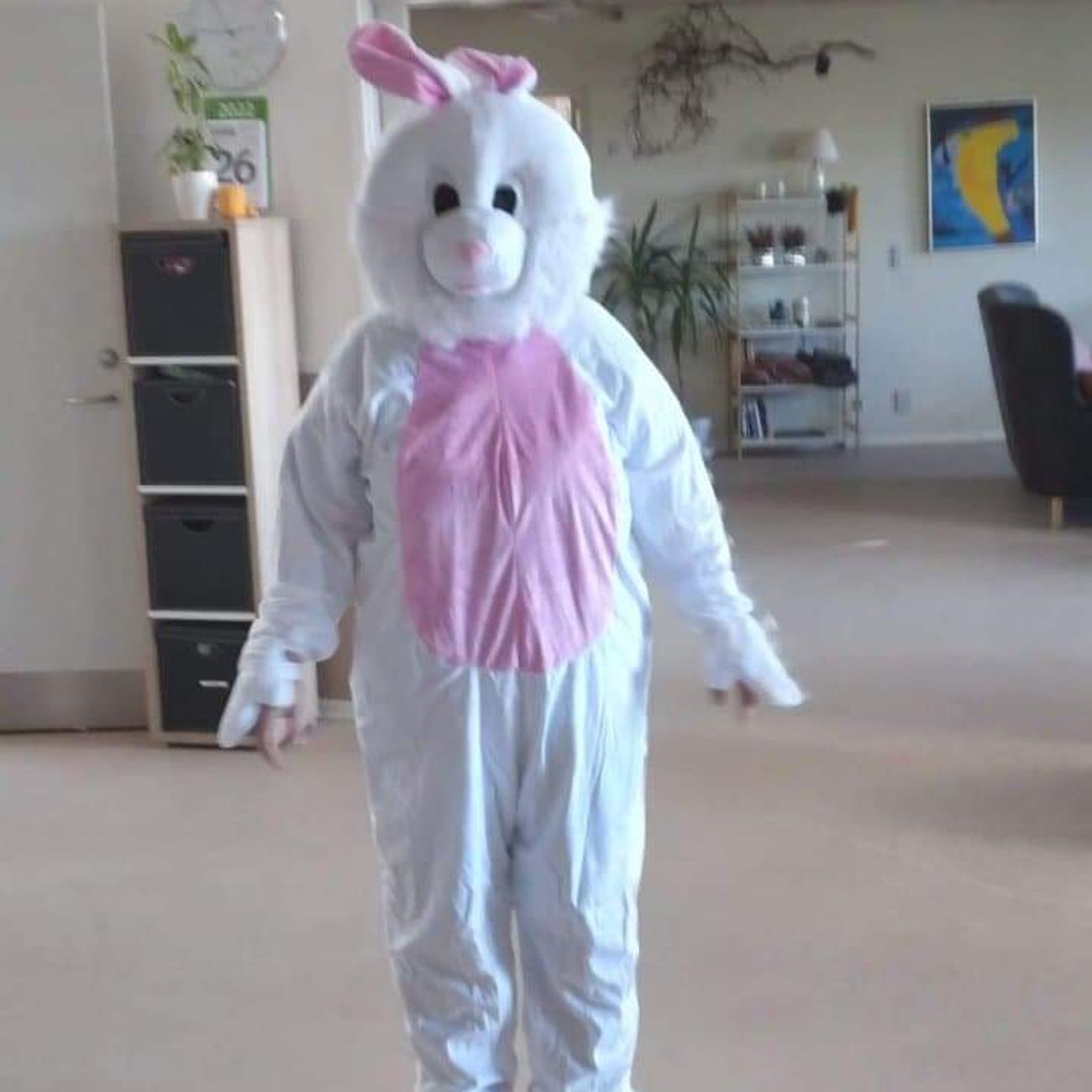 kb-kaninmaskot-kostume-18031-6