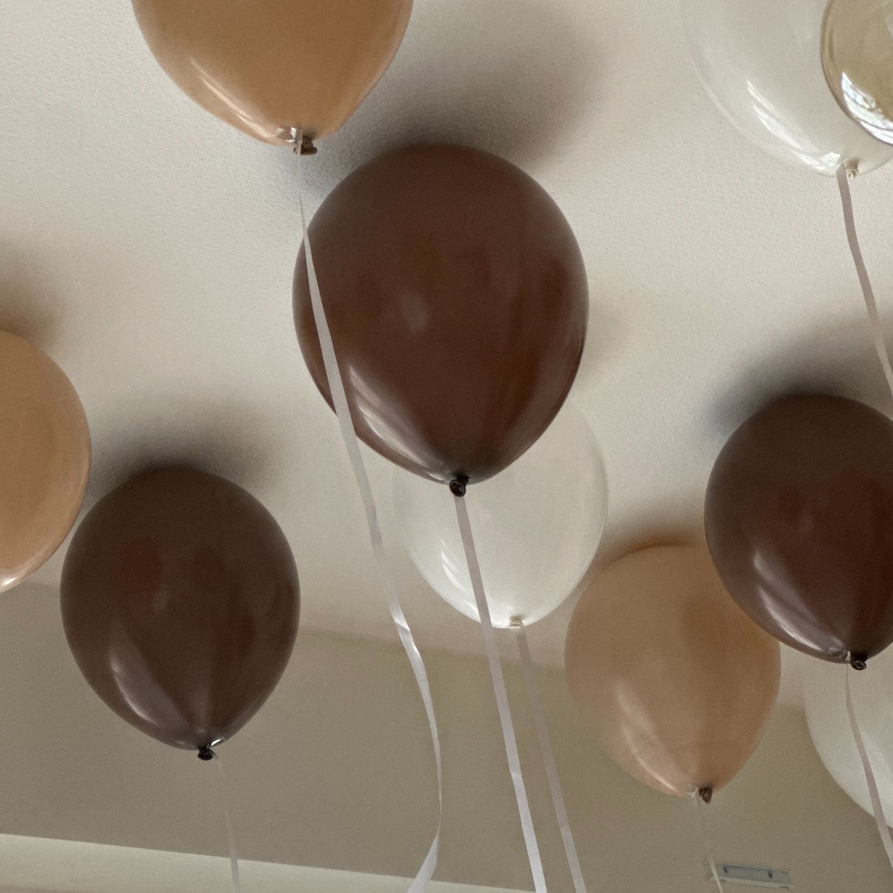 kb-latexballonger-professional-chocolate-brown-86291-2-r