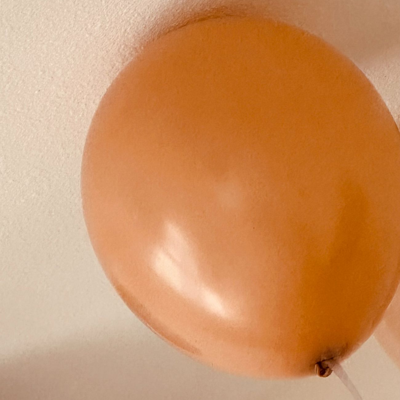 kb-latexballonger-professional-desert-sand-82306-2-r