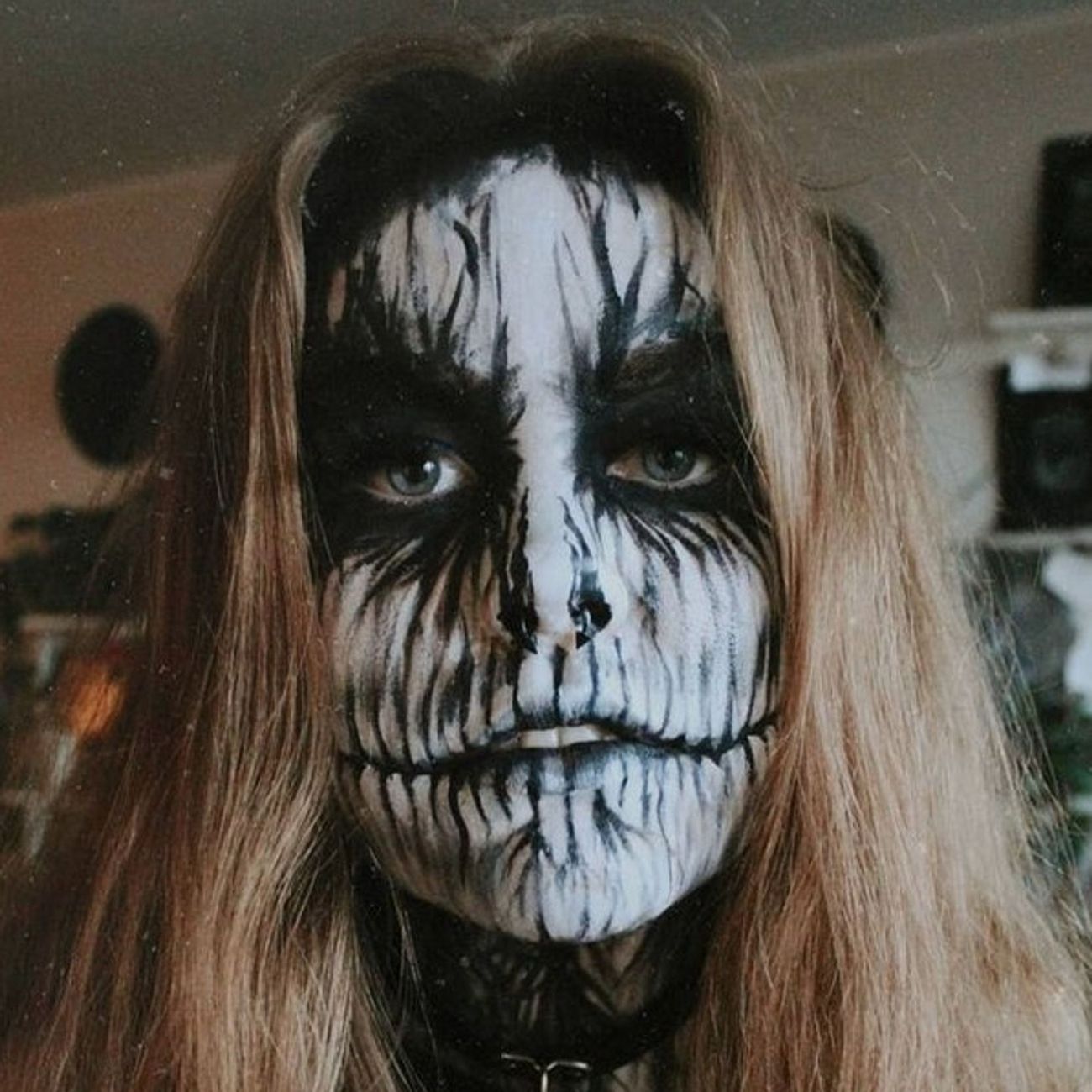 Asiakaskuva Snazaroo Kasvoväri
