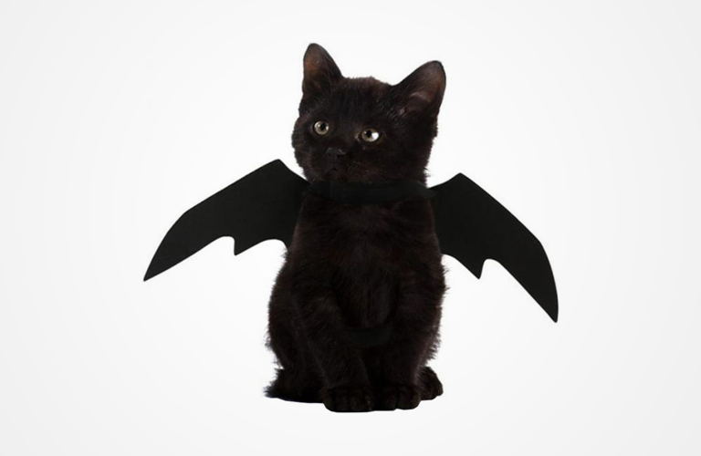 Flagemusevinger til Kat