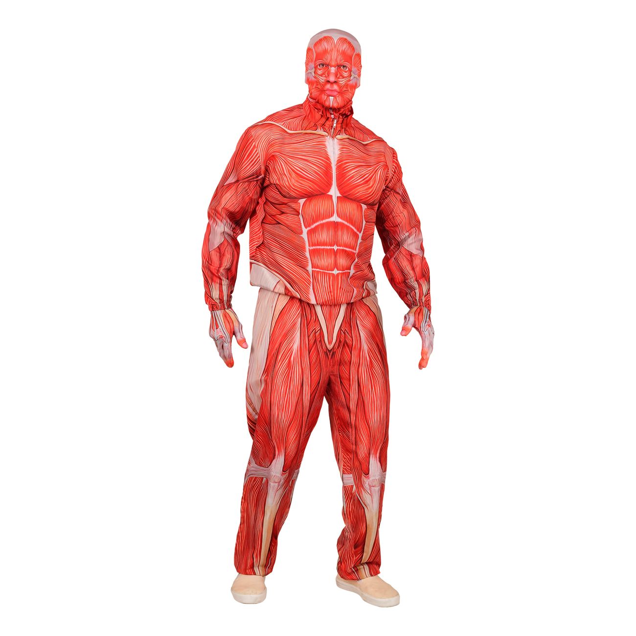 Anatomi Maskeraddräkt