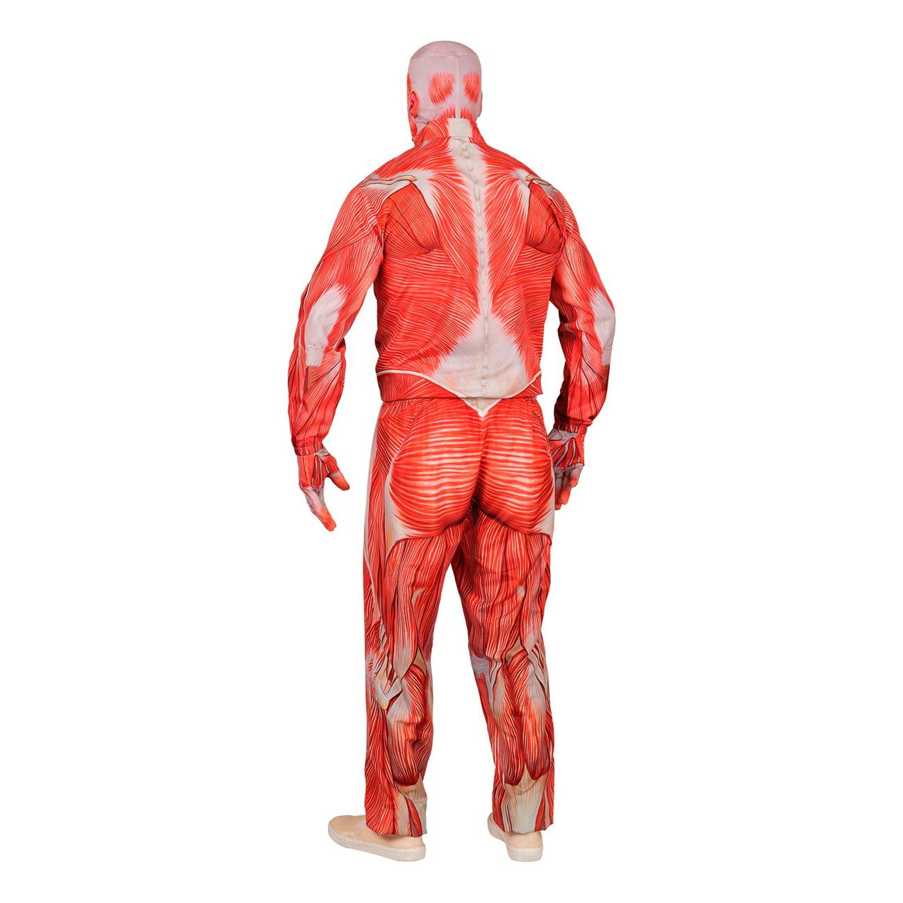 Anatomi Maskeraddräkt