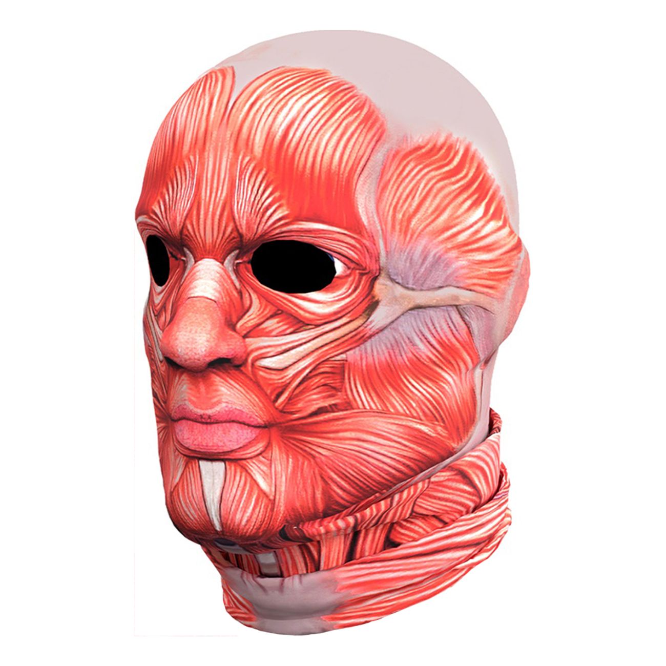 Anatomi Maskeraddräkt