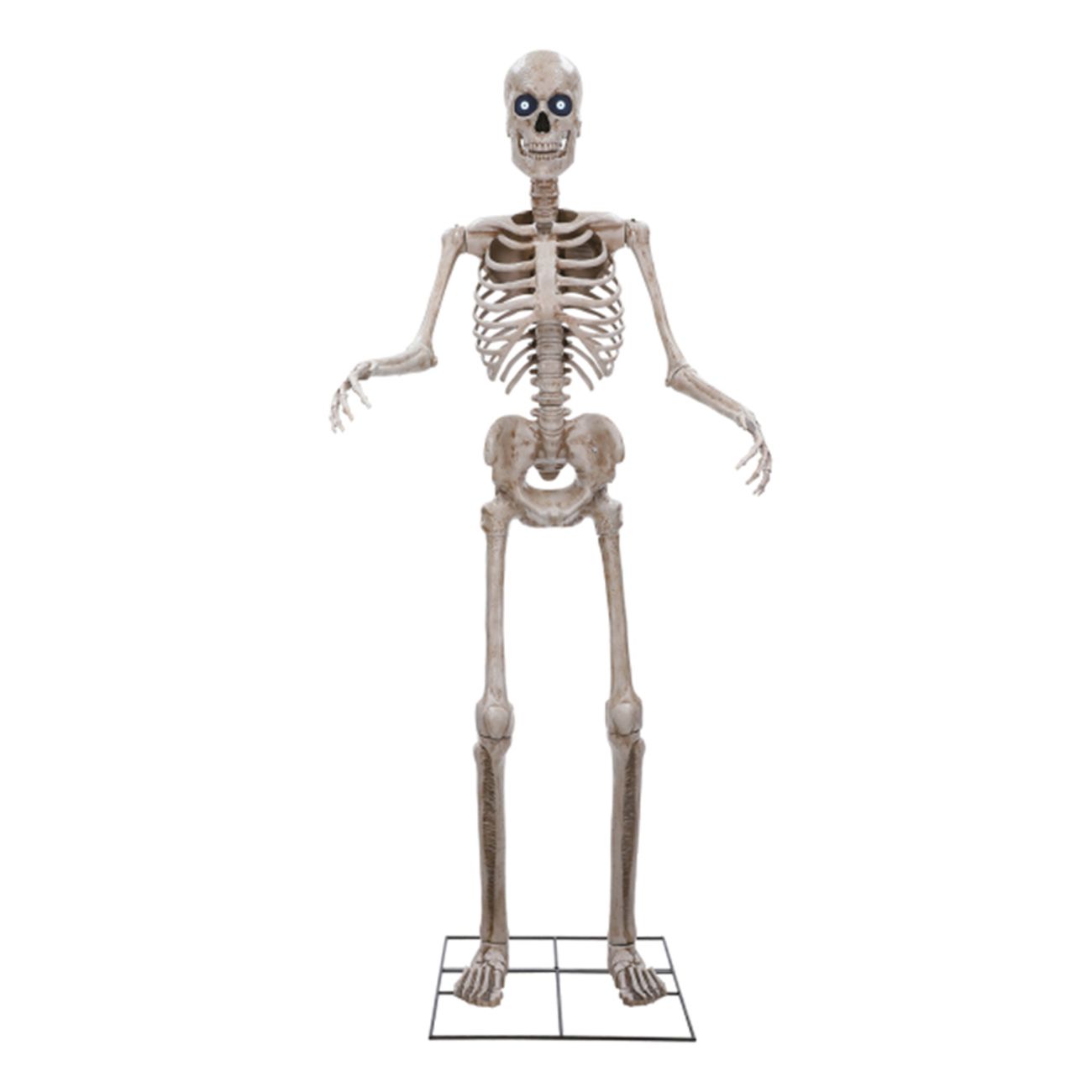 Animerat Gigantiskt Skelett Prop