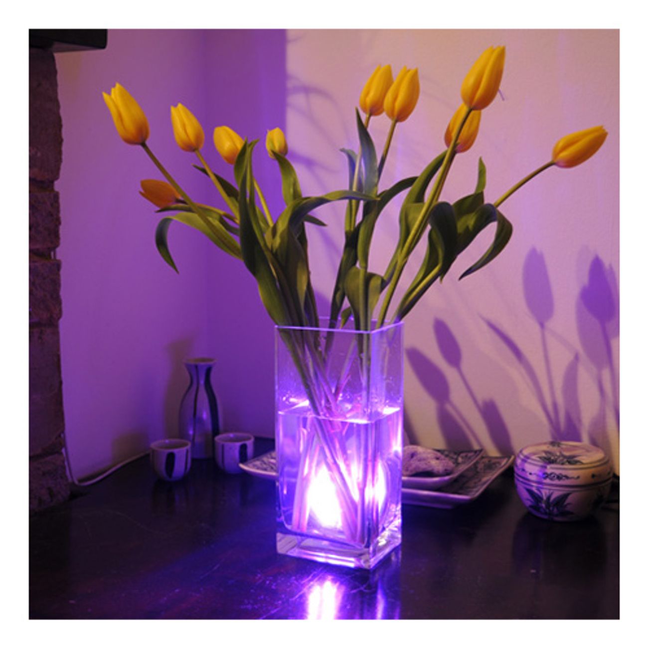 Aqua Mood Light