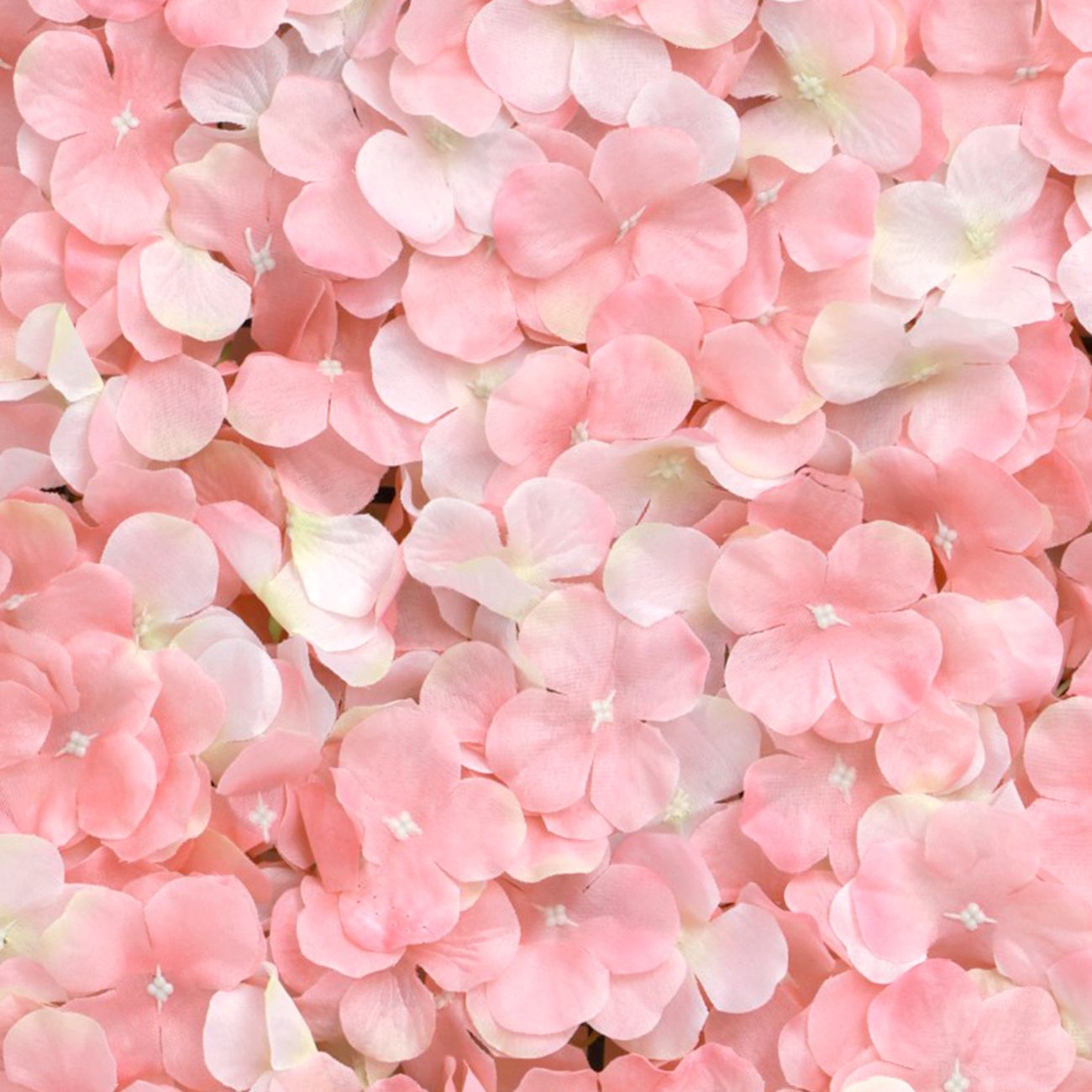 Backdrop Hortensia Rosa