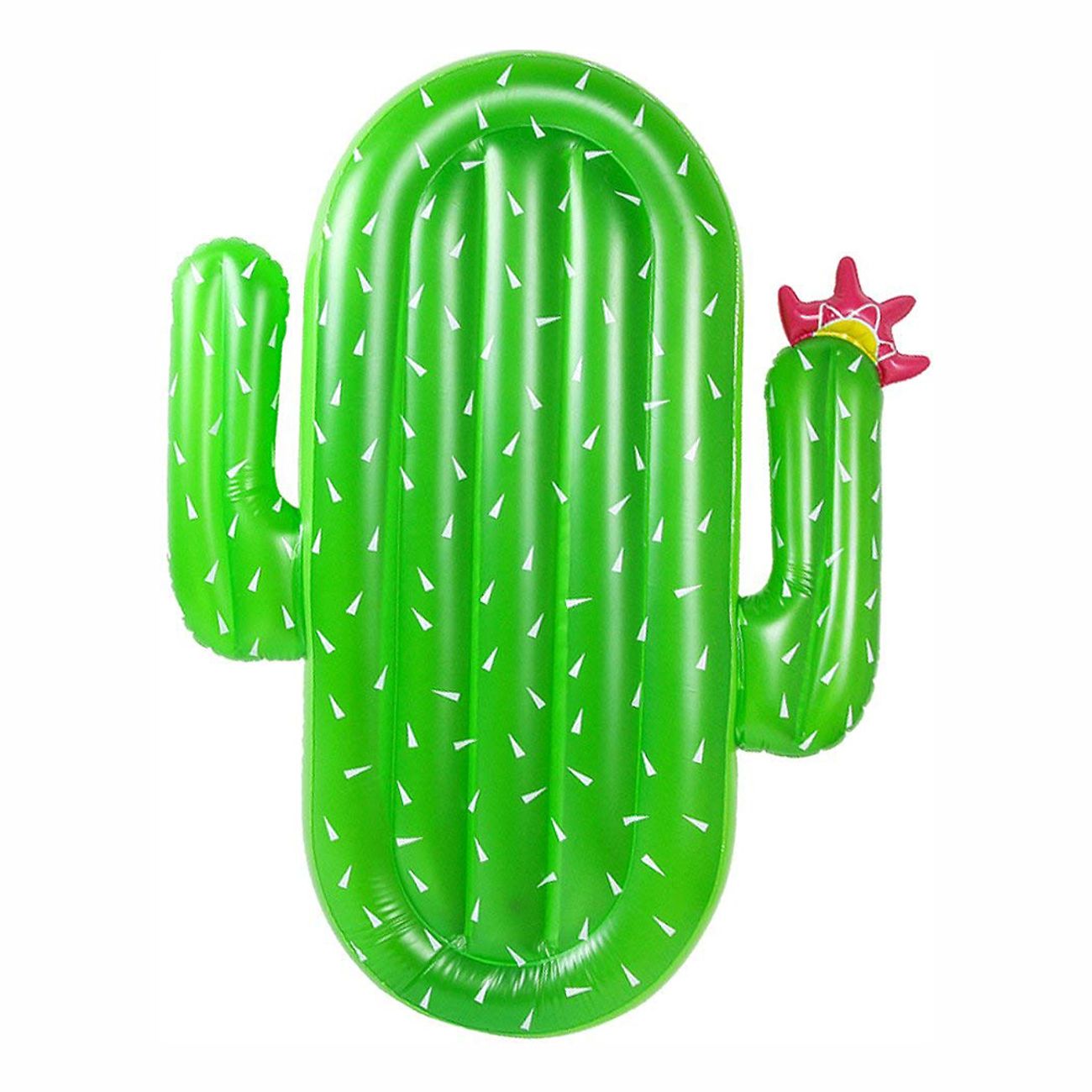 badmadrass-kaktus-2