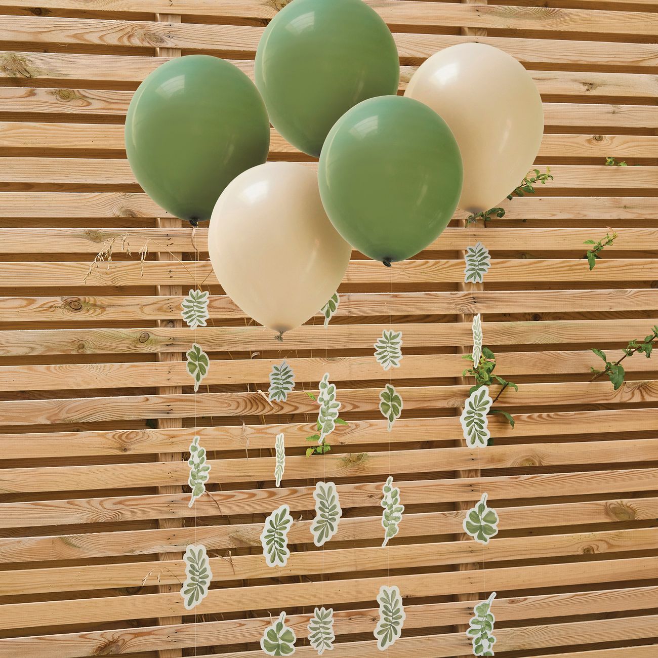 Ballonger Gröna Löv Botanic