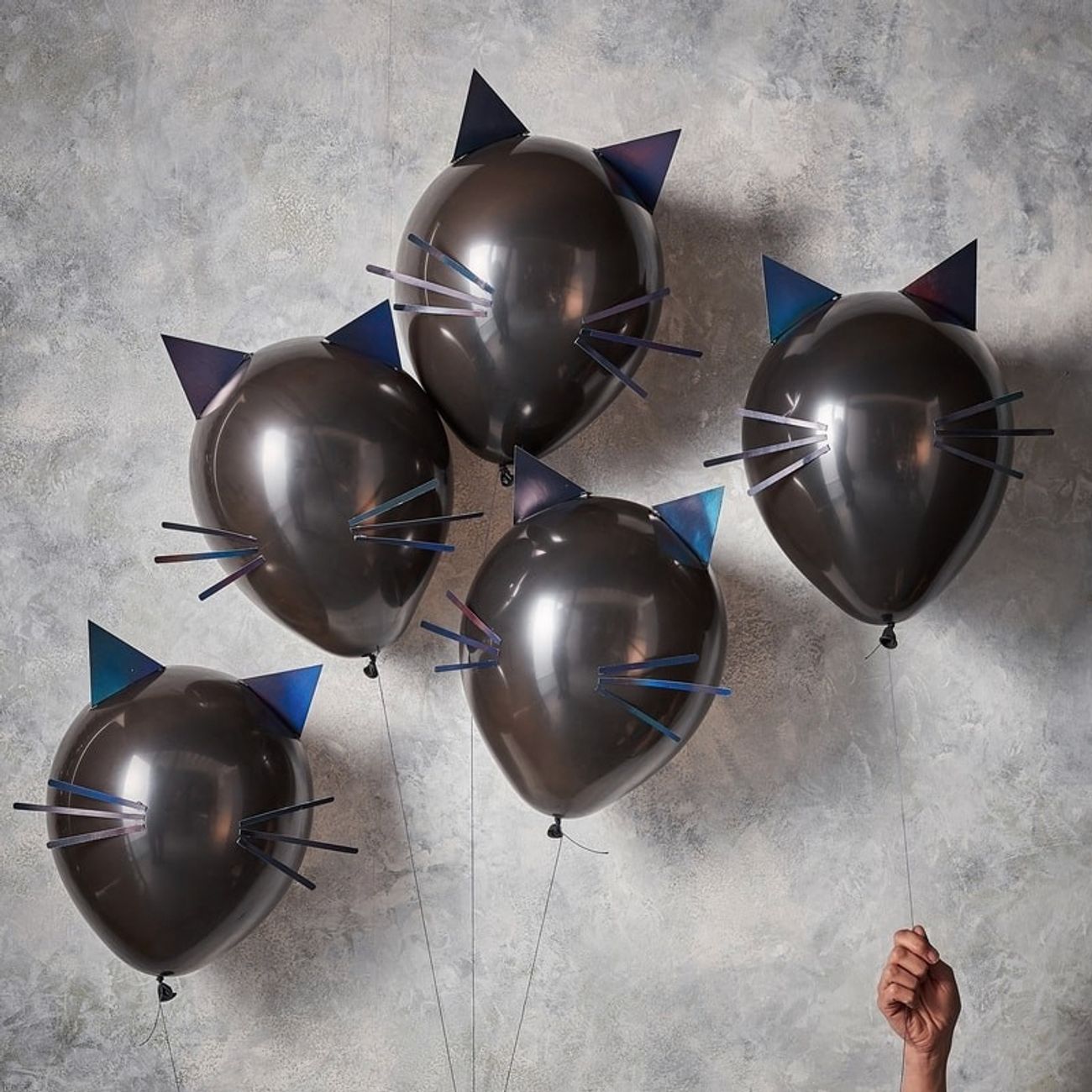 ballonger-svart-katt-2