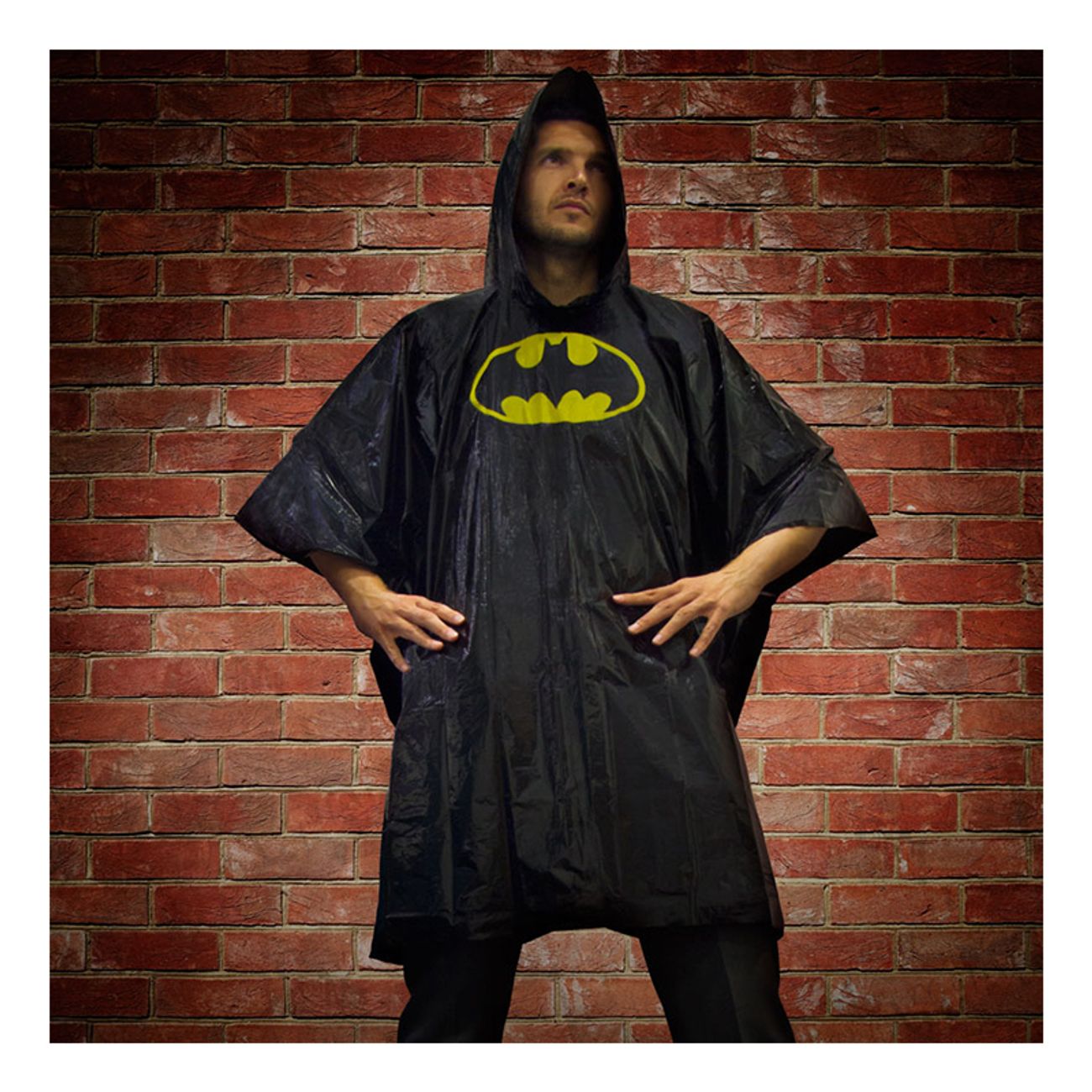 batman-budget-regnponcho-2