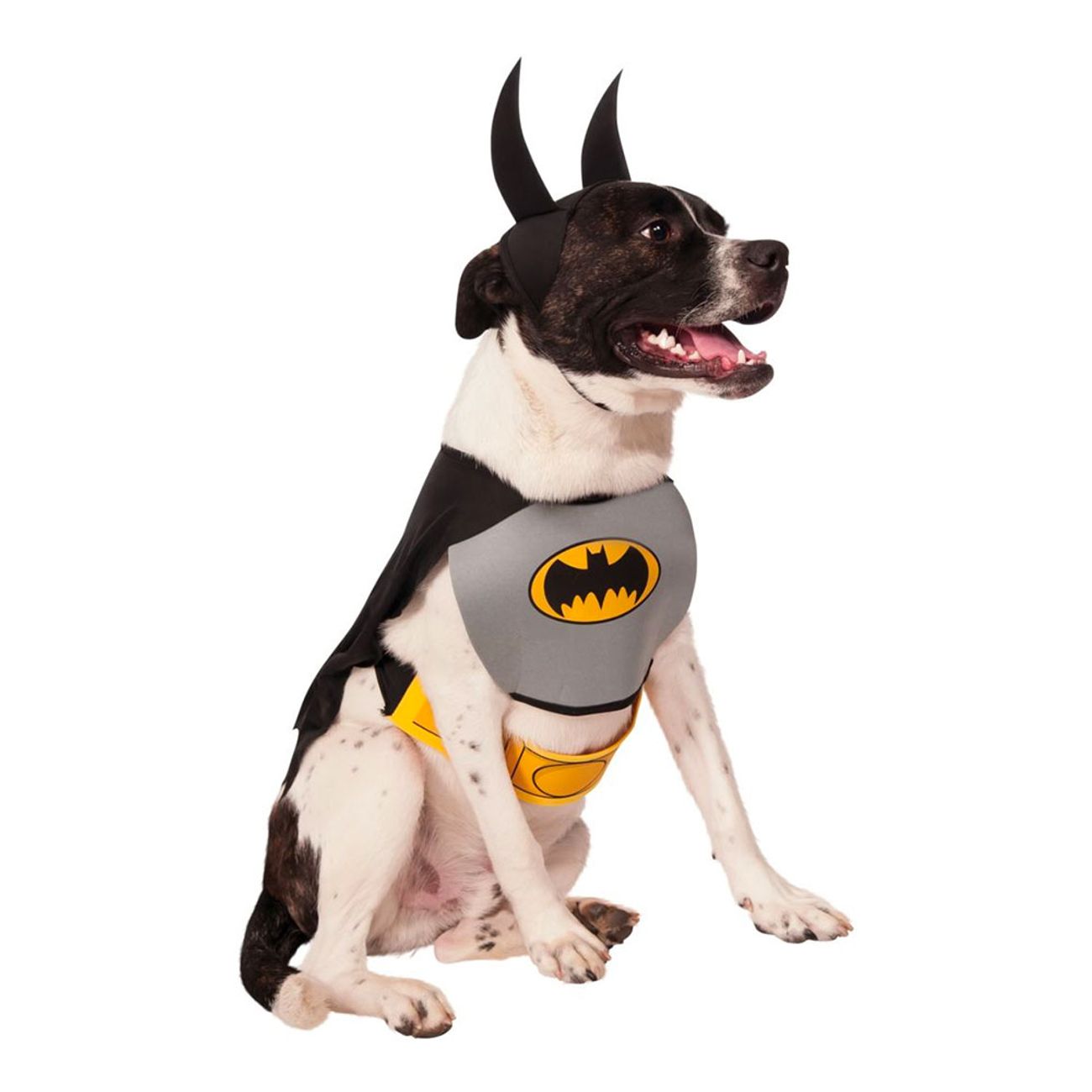 batman-hund-maskeraddrakt-76350-1