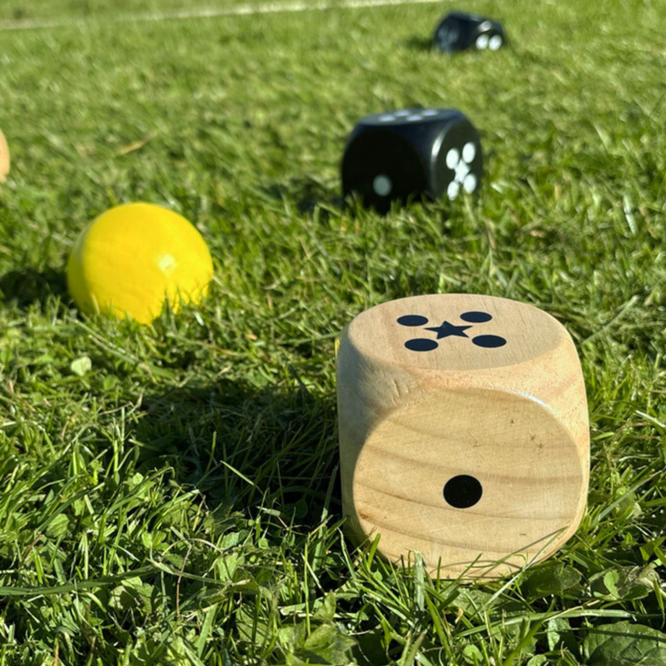 Bex 5Star Family Trädgårdsspel