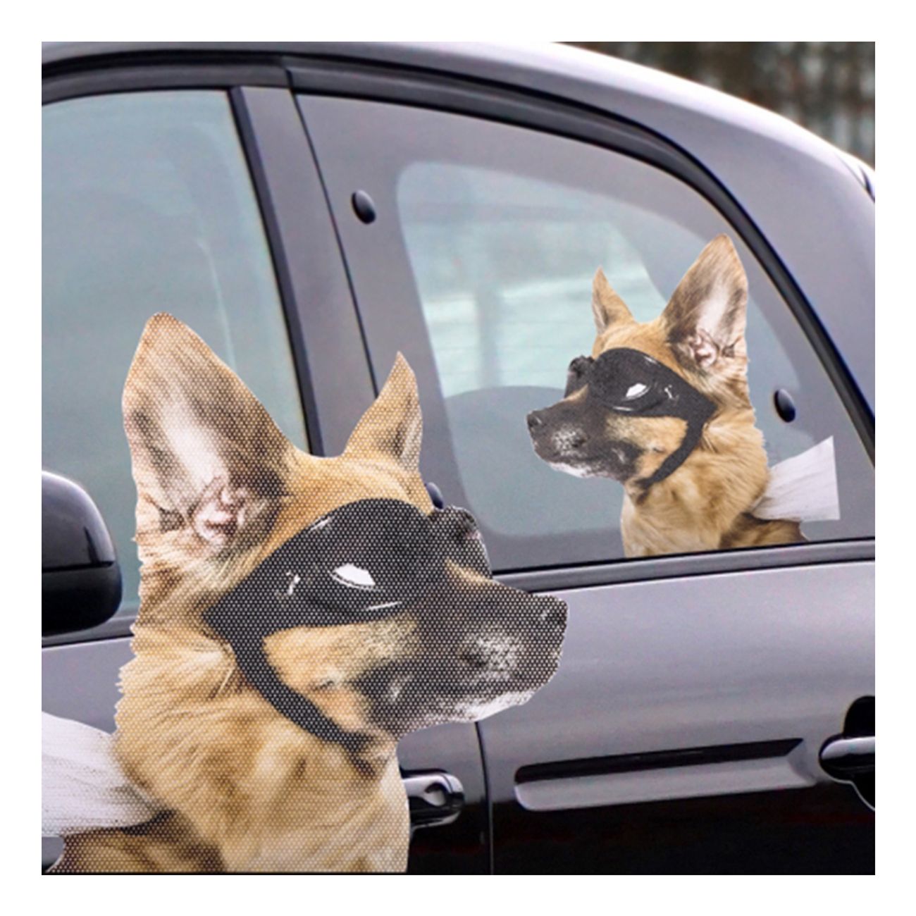 bilklistermarke-hund-1