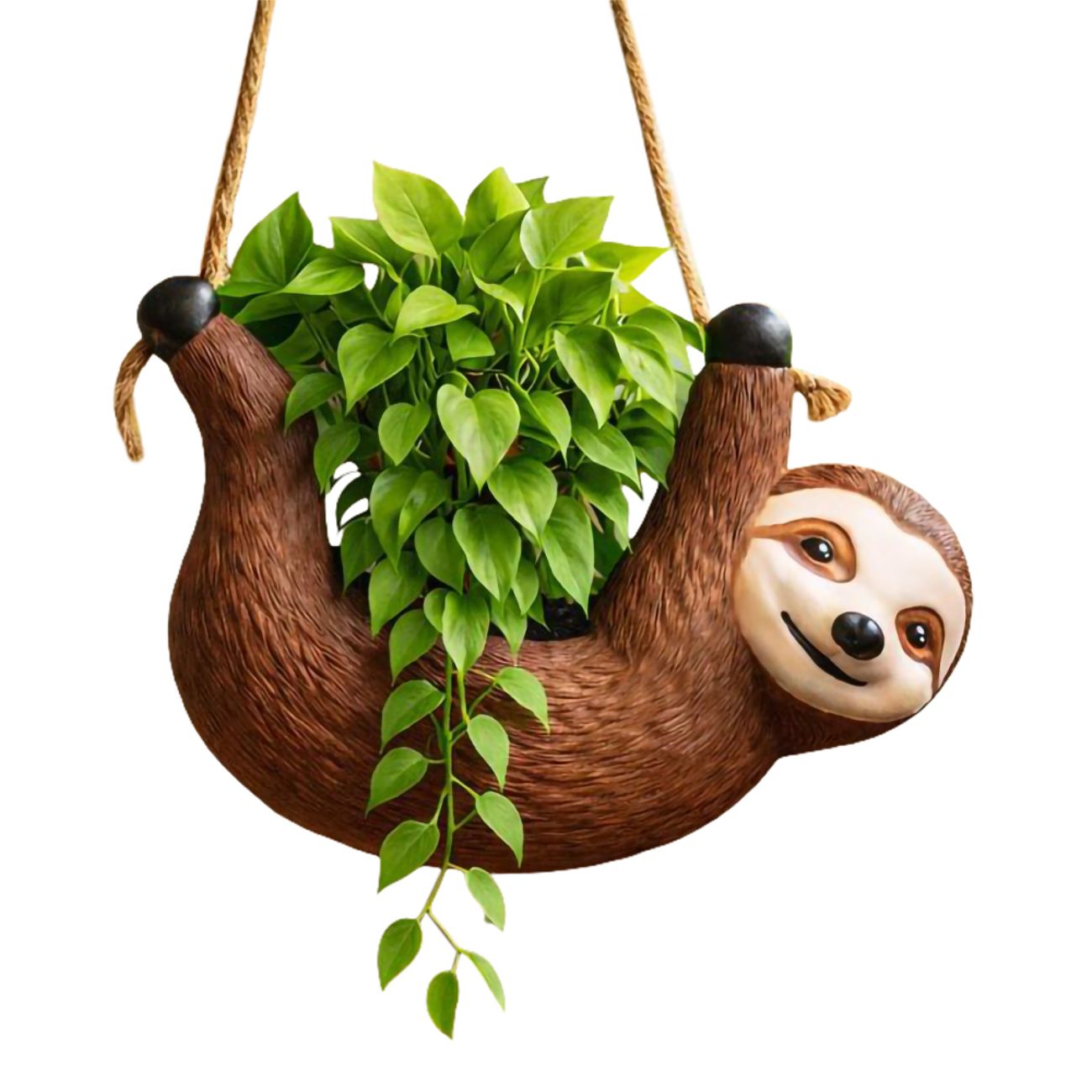 Blomkruka Sengångare