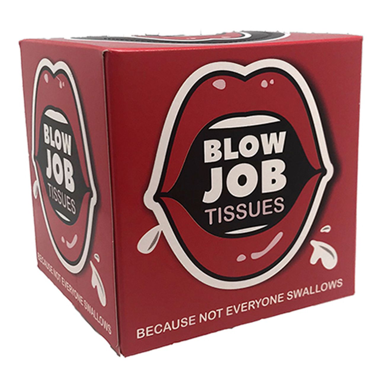blowjob-servetter-1