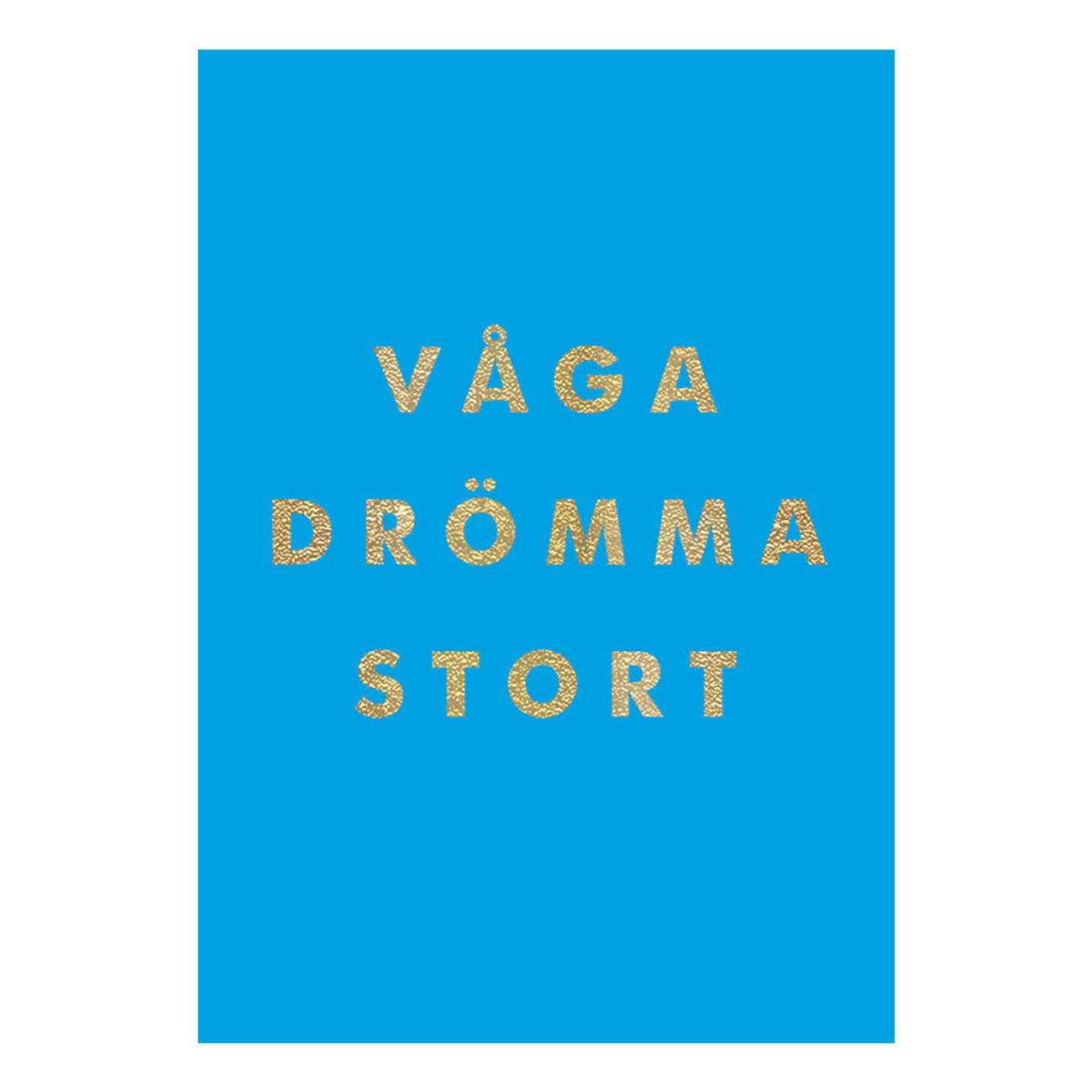 bok-vaga-dromma-stort-87436-1
