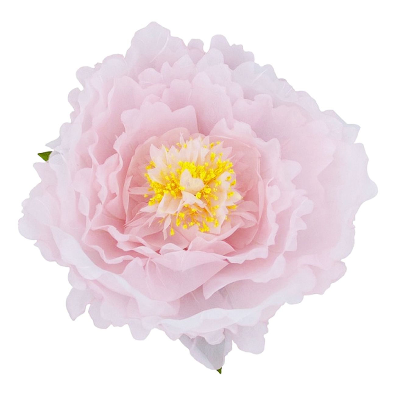 Bordsdekoration Pion Rosa