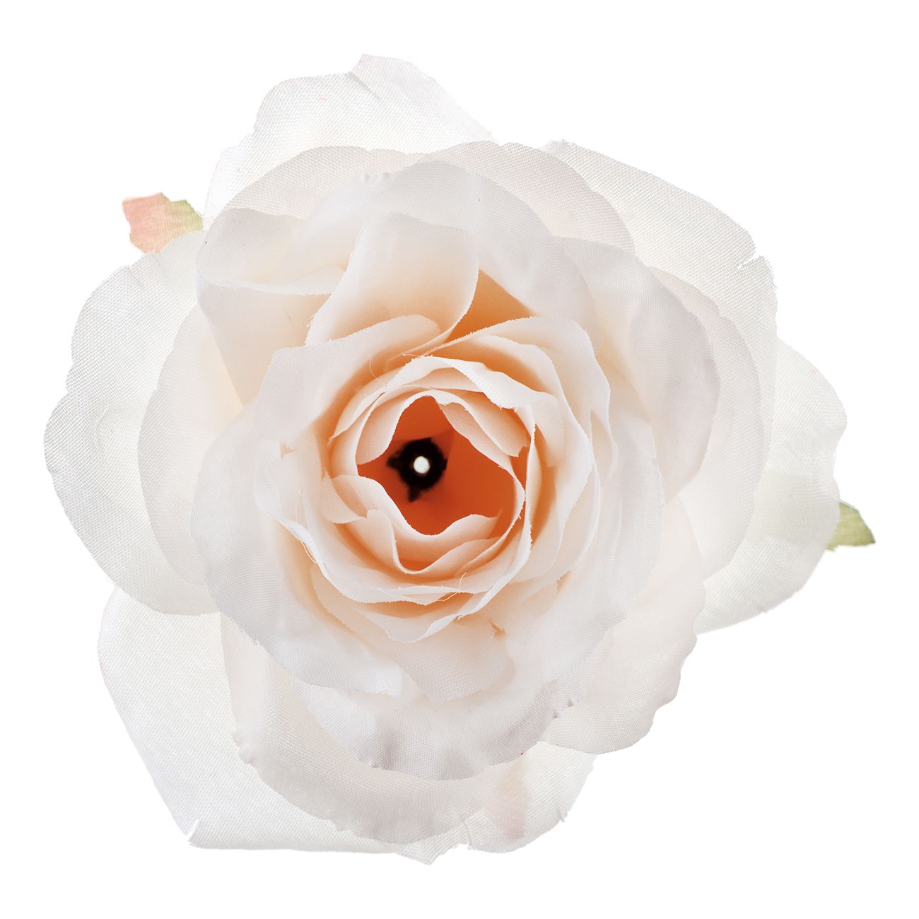 Bordsdekoration Ros Elfenben