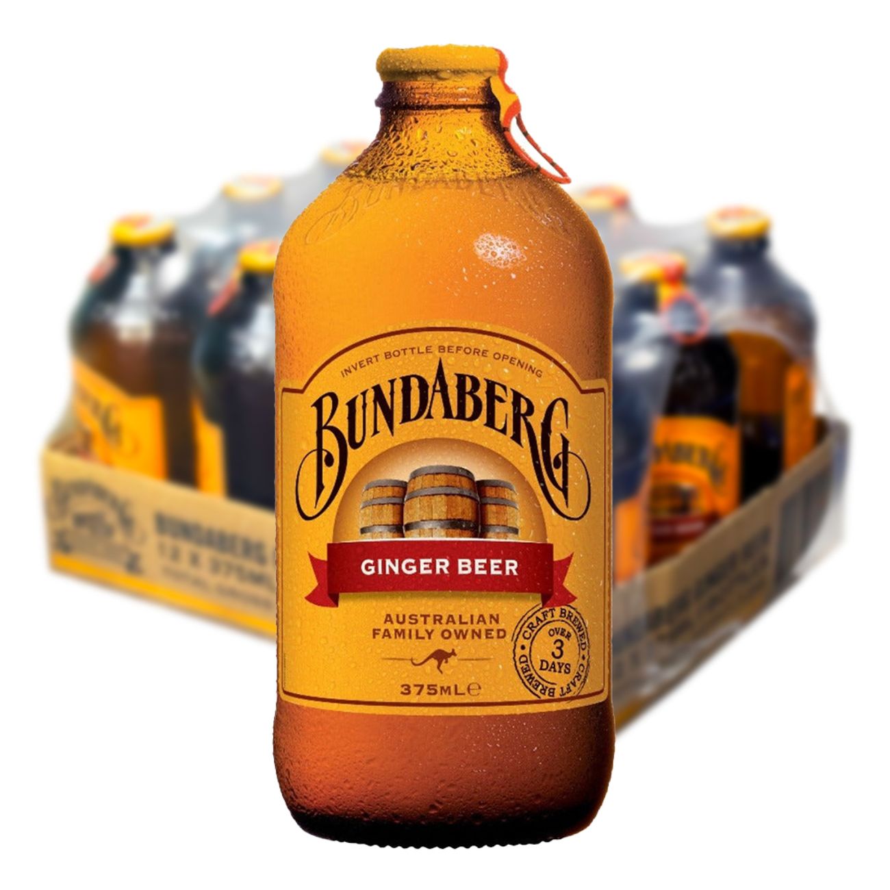 bundaberg-ginger-beer-375-cl-103309-3