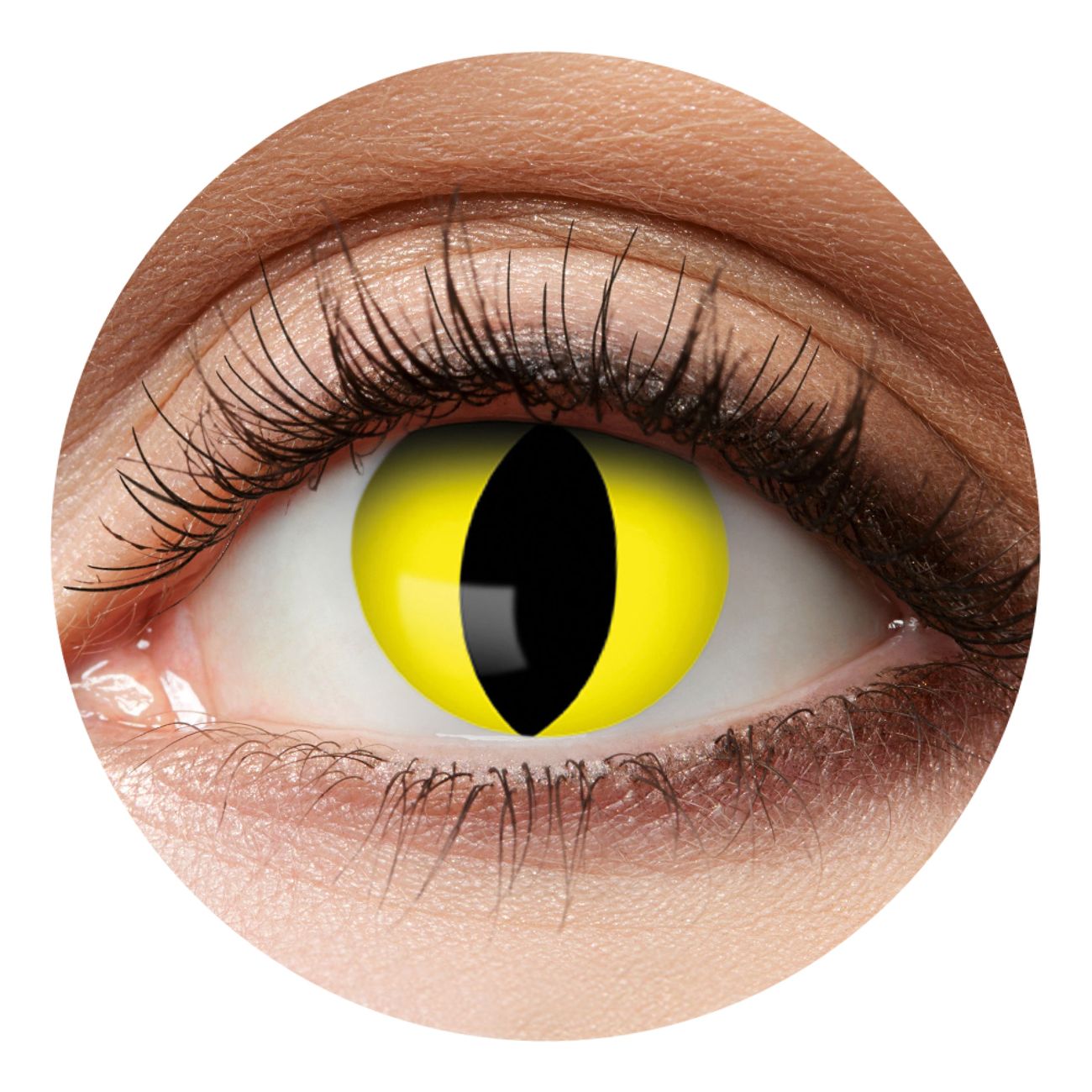 crazylinser-cateyes-10026-11