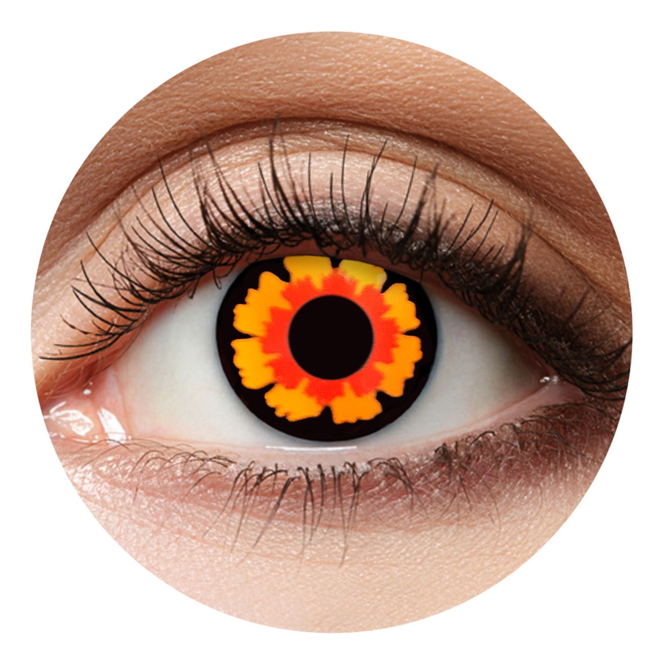 crazylinser-volturi-12382-14