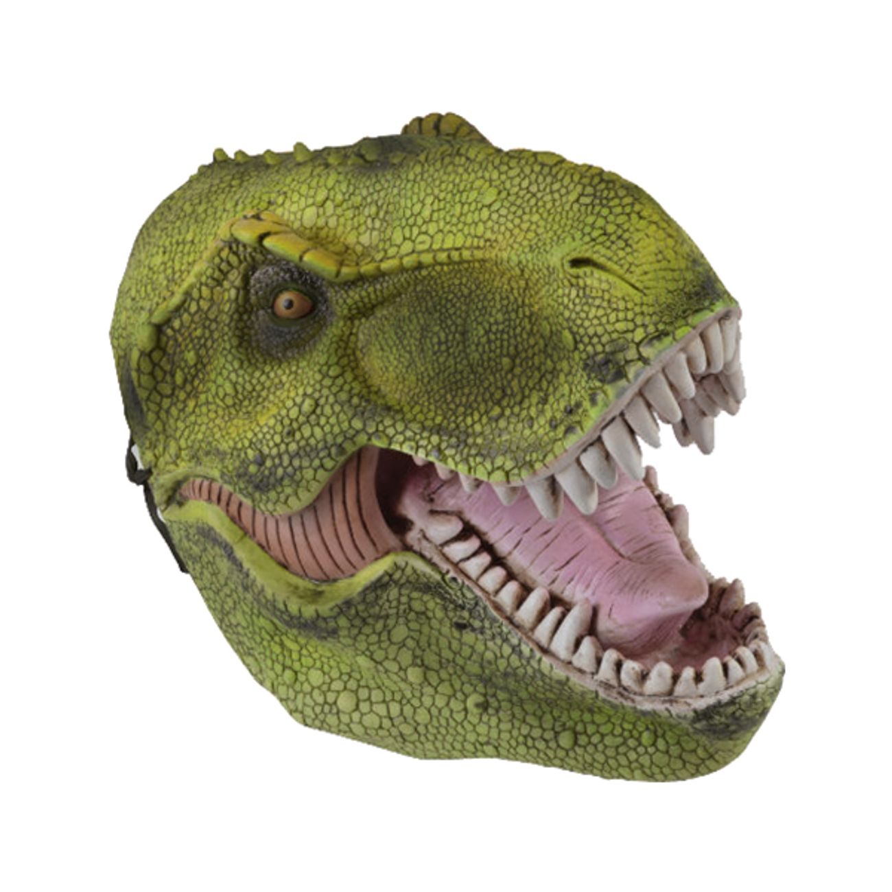 dinosaurie-mask-1