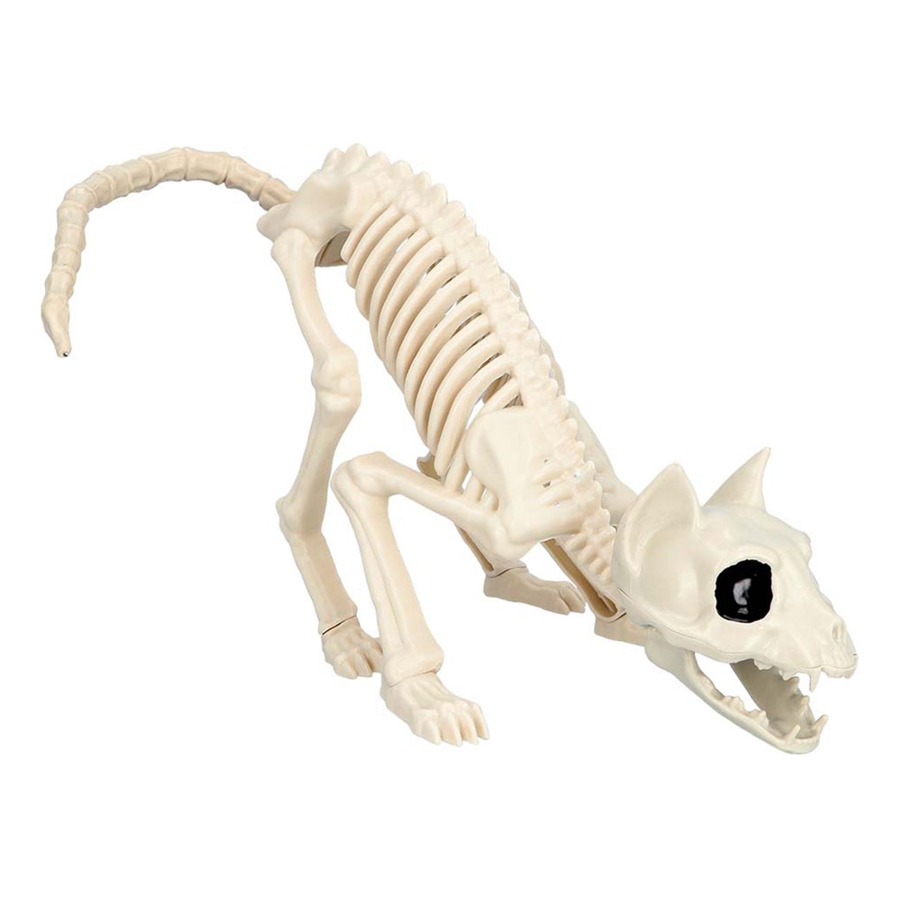 Dyreskelet Kat Prop