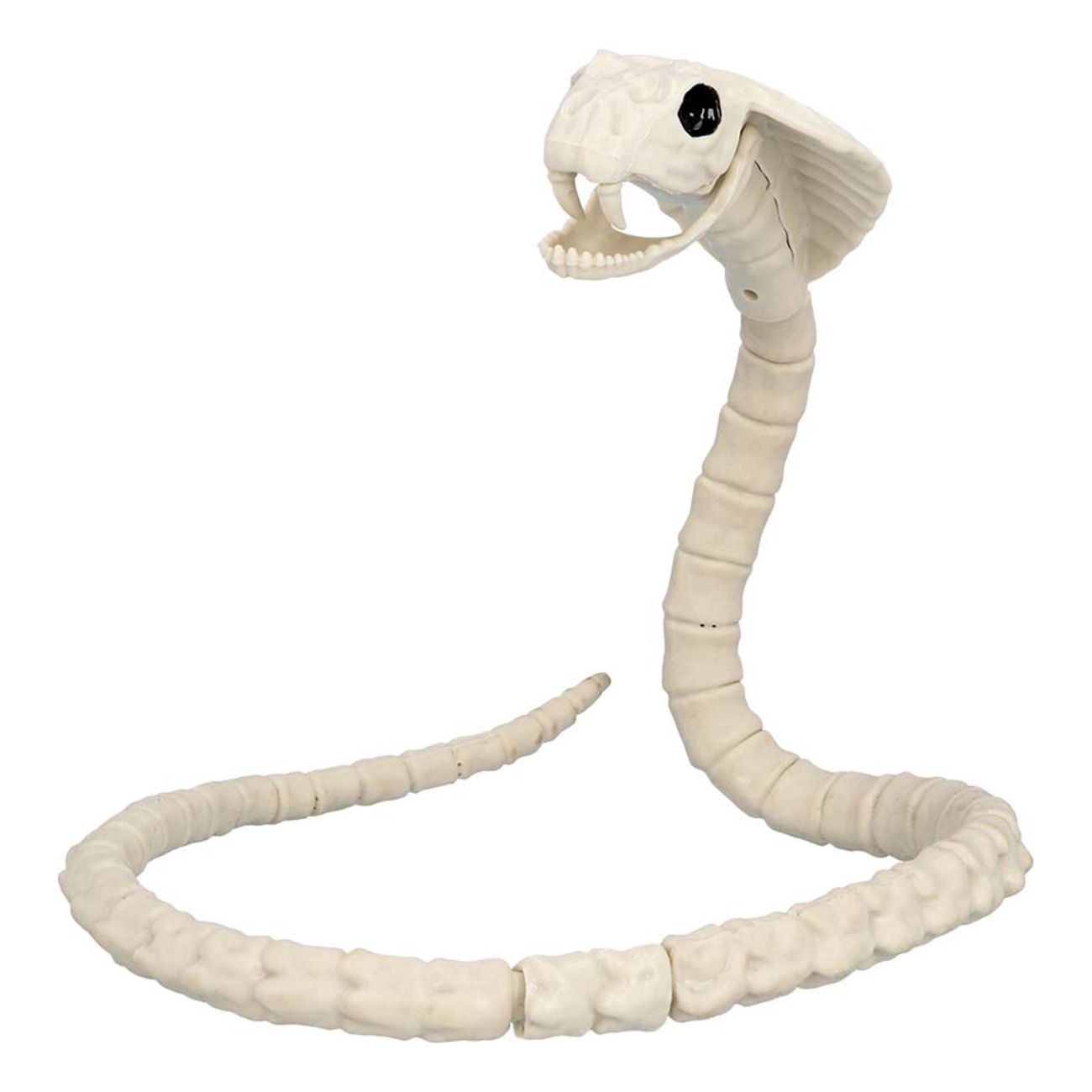 Dyreskelet Slange Prop
