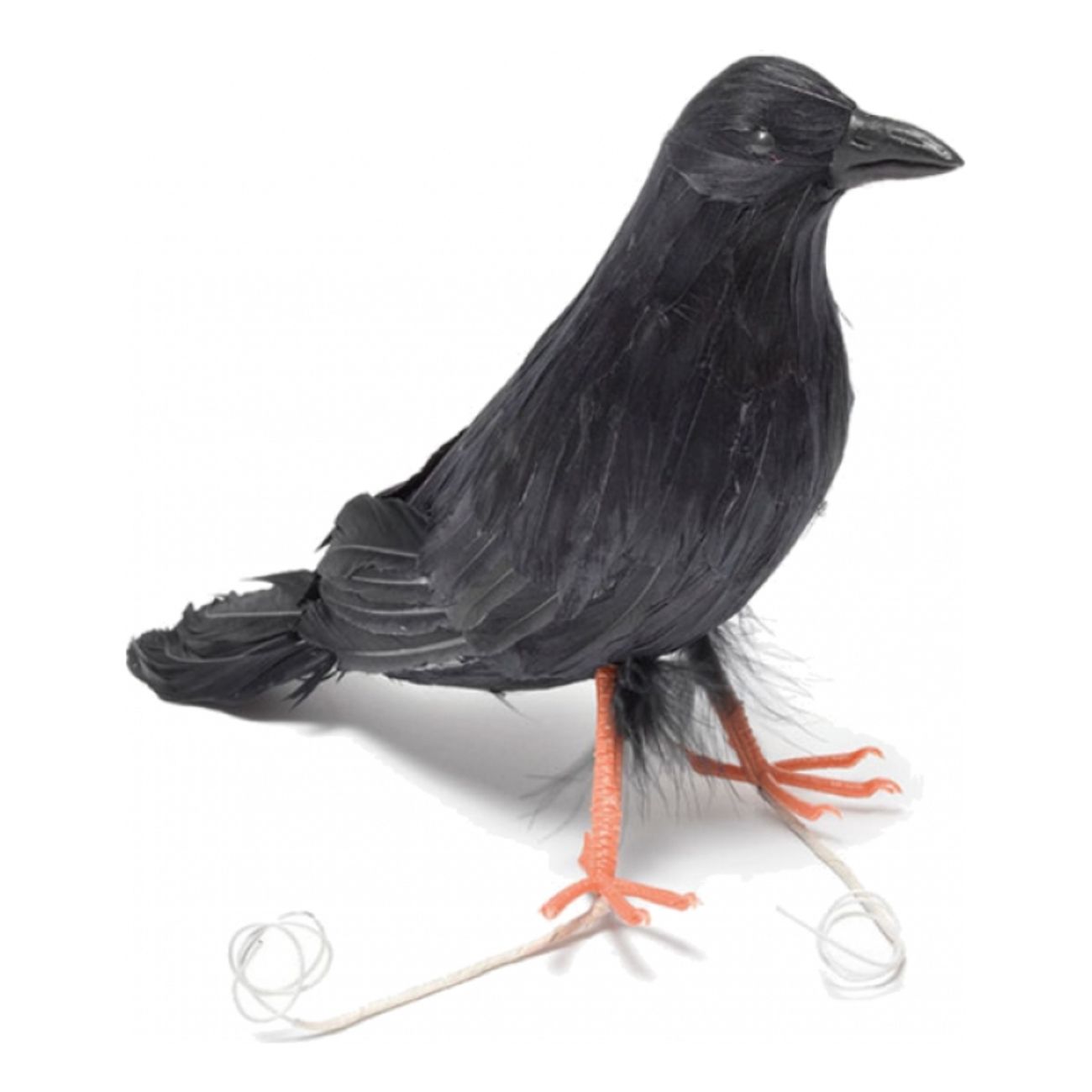 feather-raven-bird-1