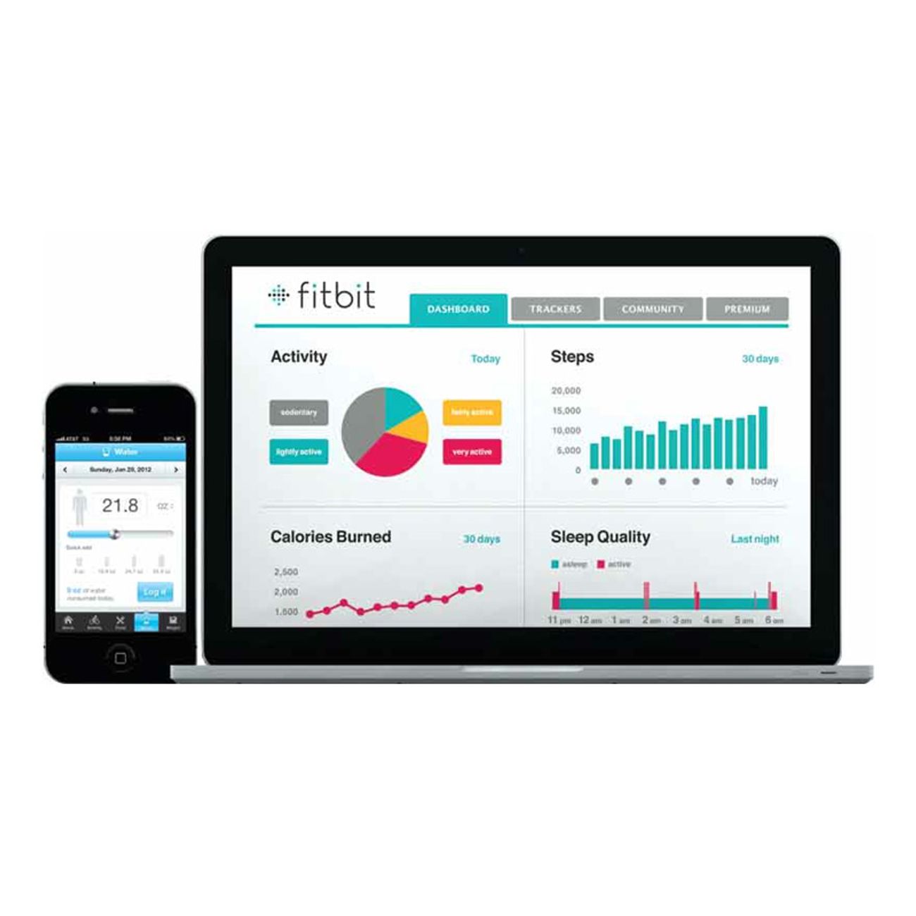 fitbit-aria-wifi-vag-3