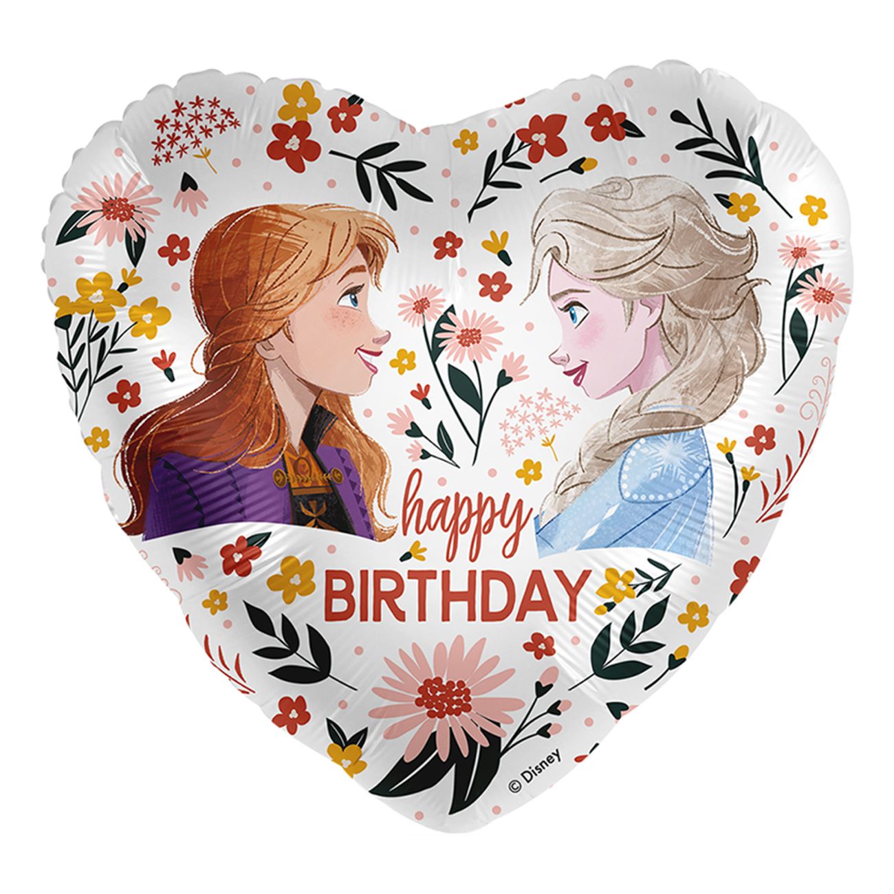folieballong-disney-anna-elsa-floral-birthday-100765-1
