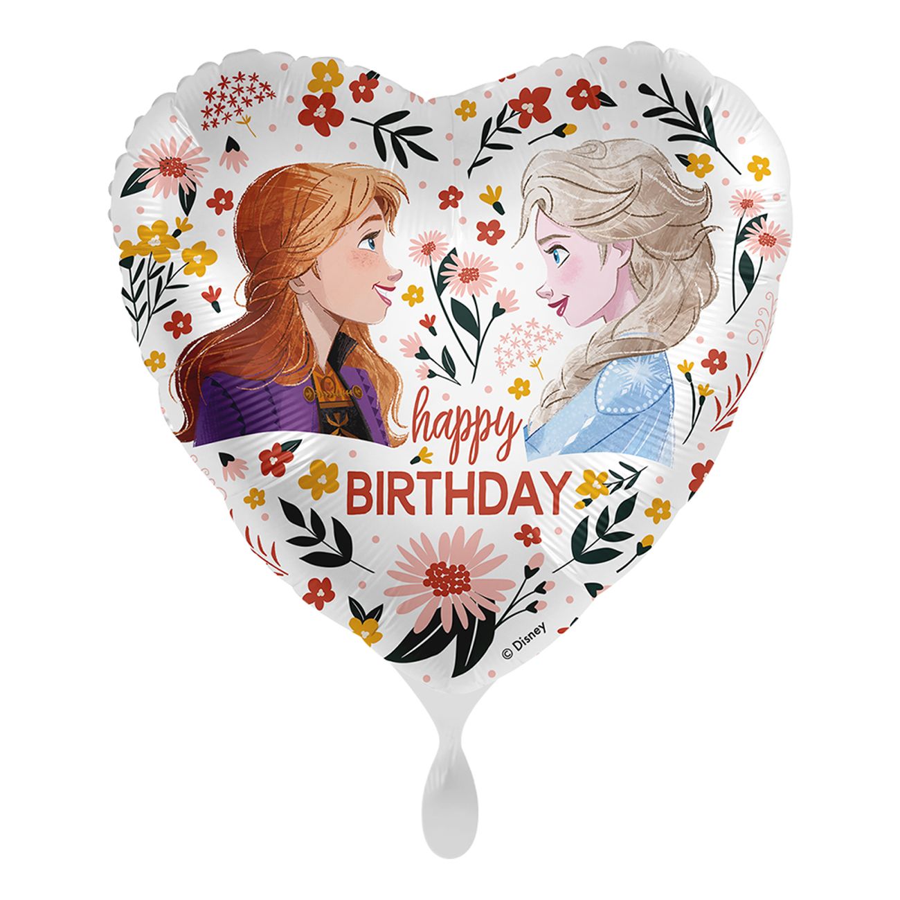 folieballong-disney-anna-elsa-floral-birthday-100765-2
