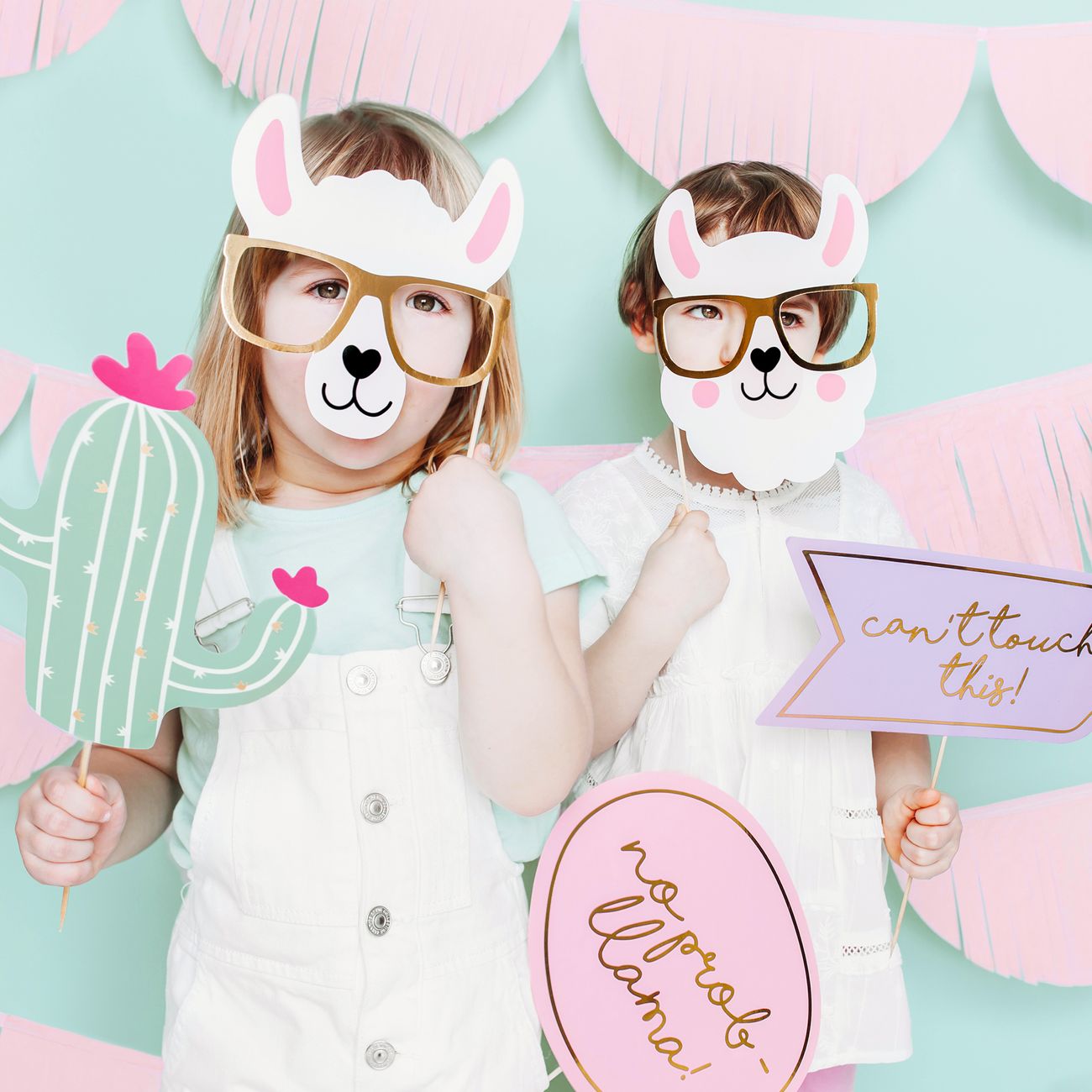 Fotoprops Lama Party