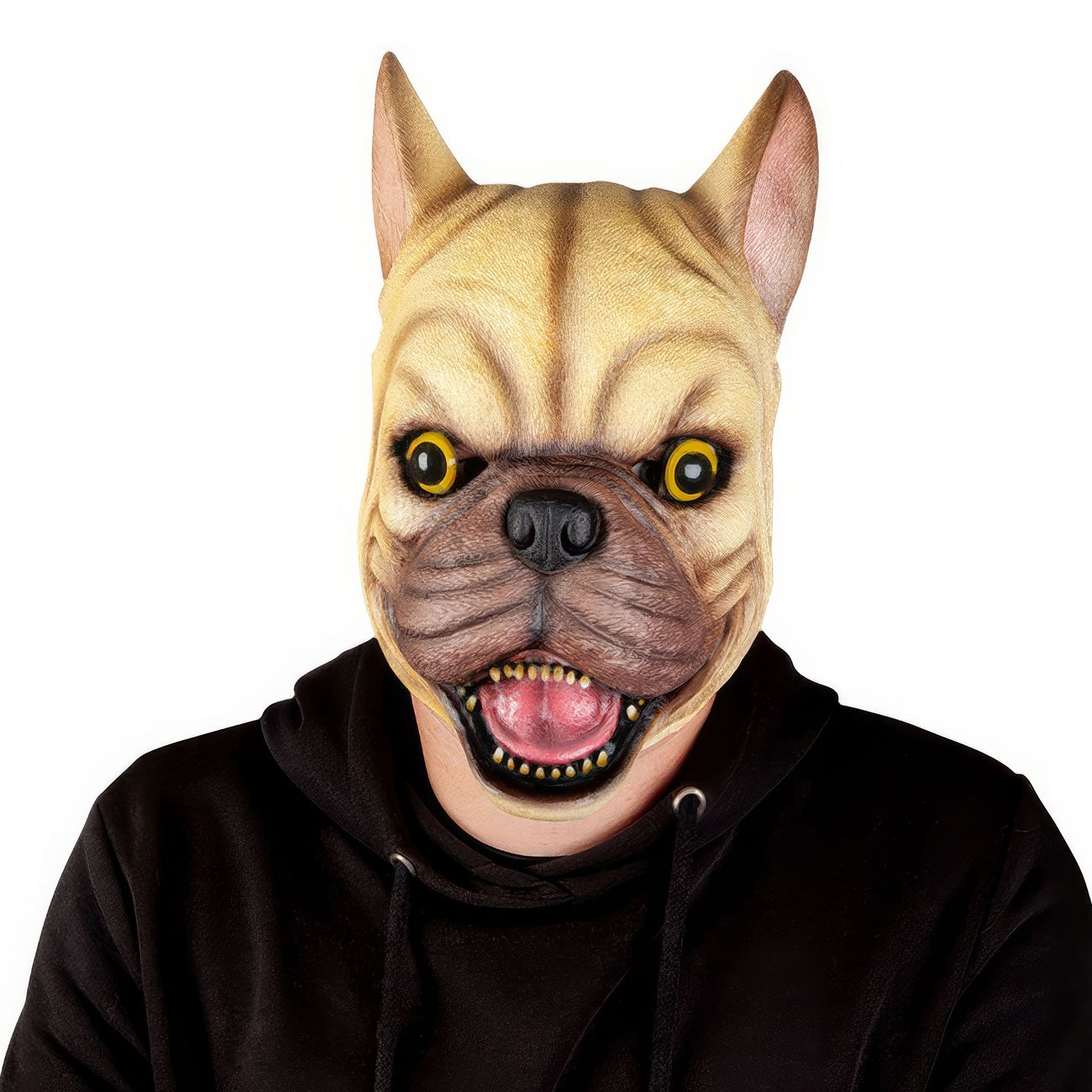 fransk-bulldog-latexmask-76368-2