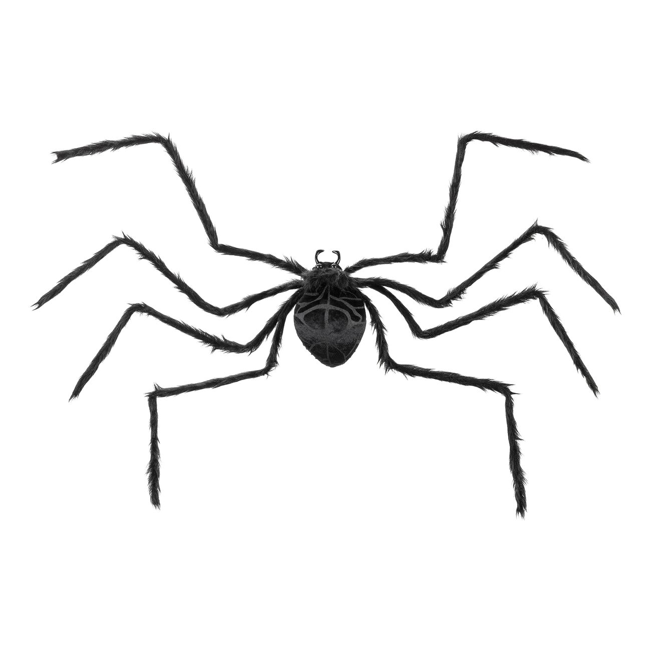 gigantisk-spindel-106984-1