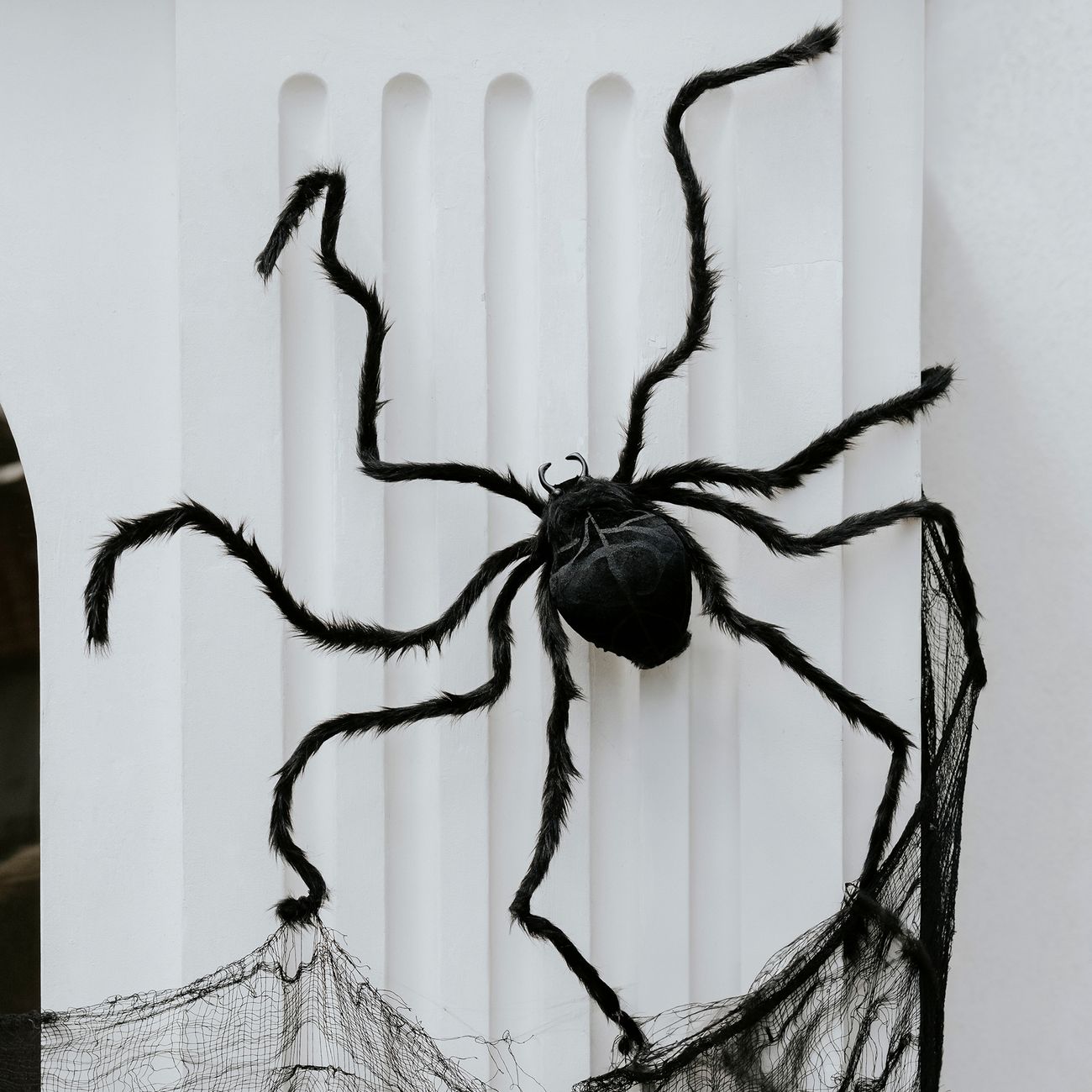 gigantisk-spindel-106984-4