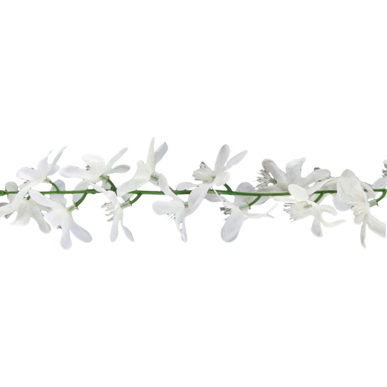 Girlang Jasminblommor