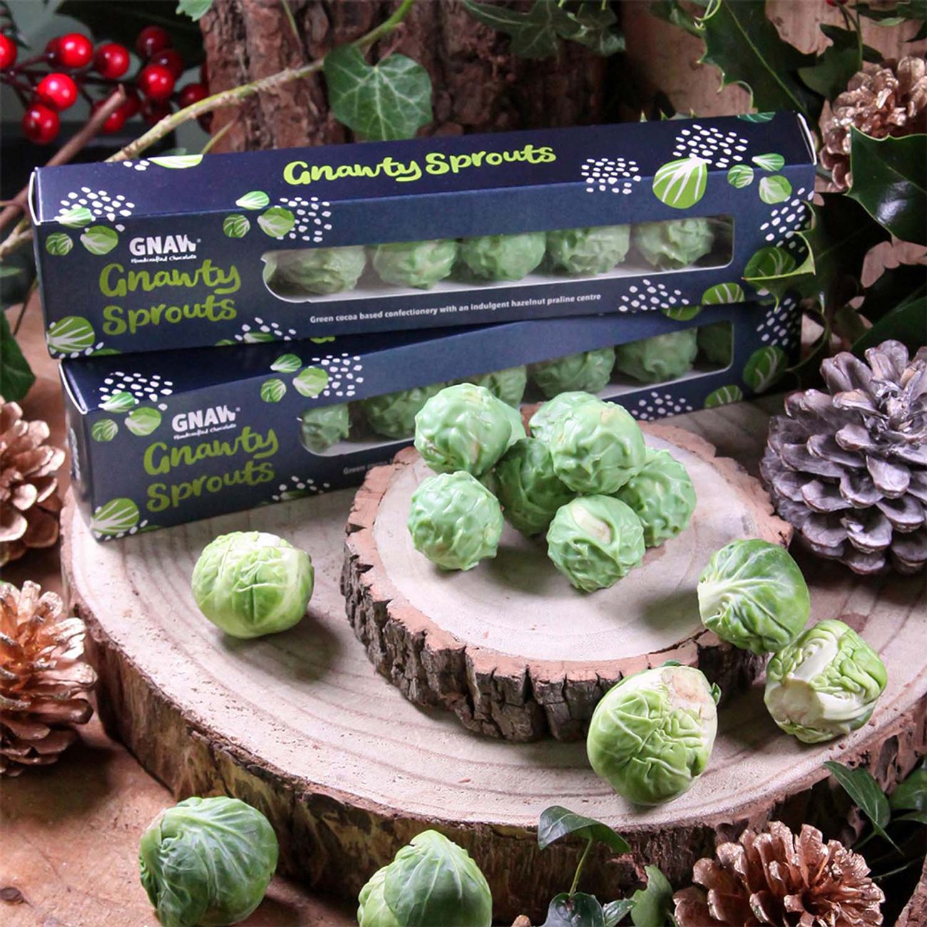 gnaw-chocolate-sprouts-80000-1