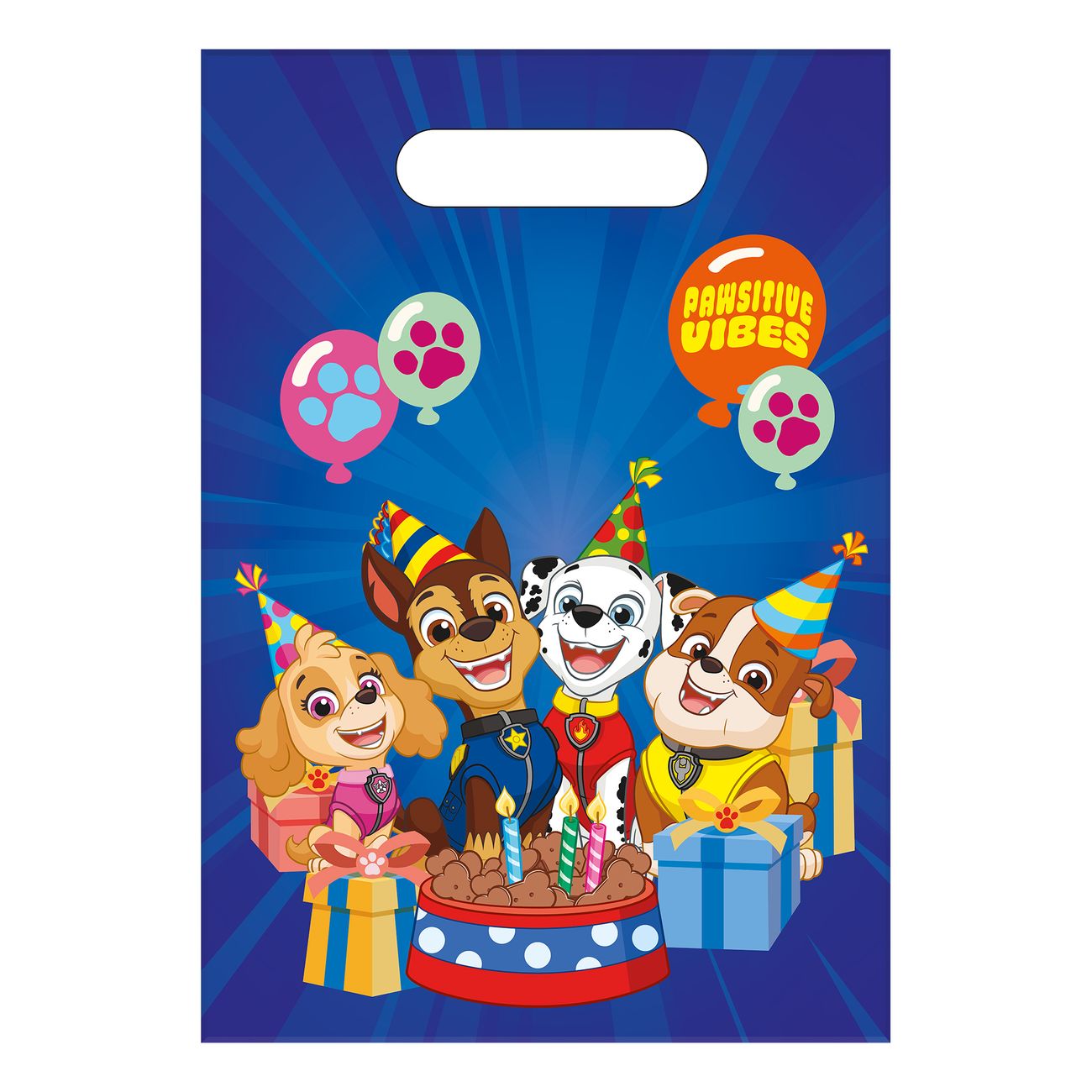 Godispåsar Paw Patrol™ Party
