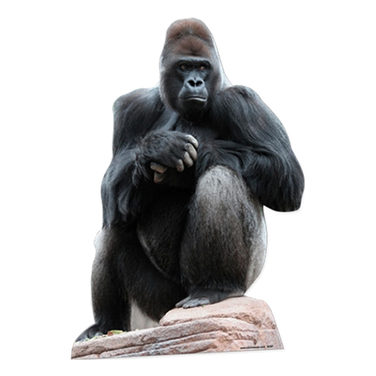 gorilla-kartongfigur-1