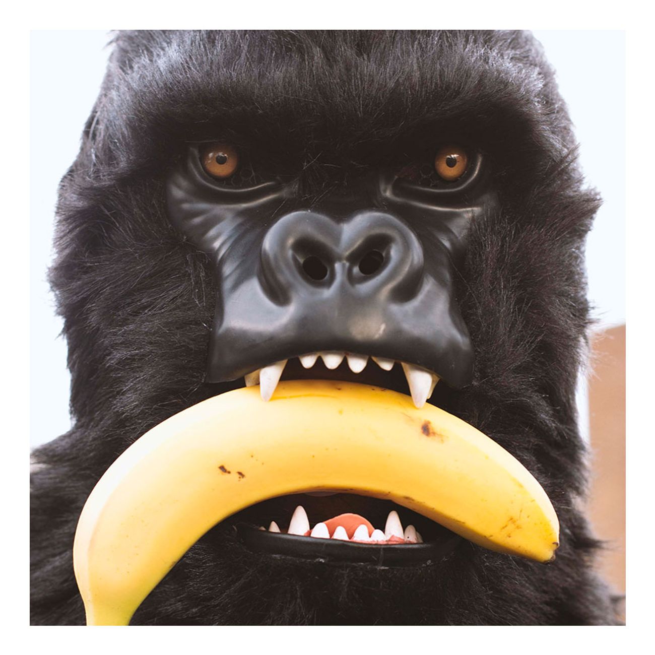 gorilla-med-rorlig-mun-mask-3