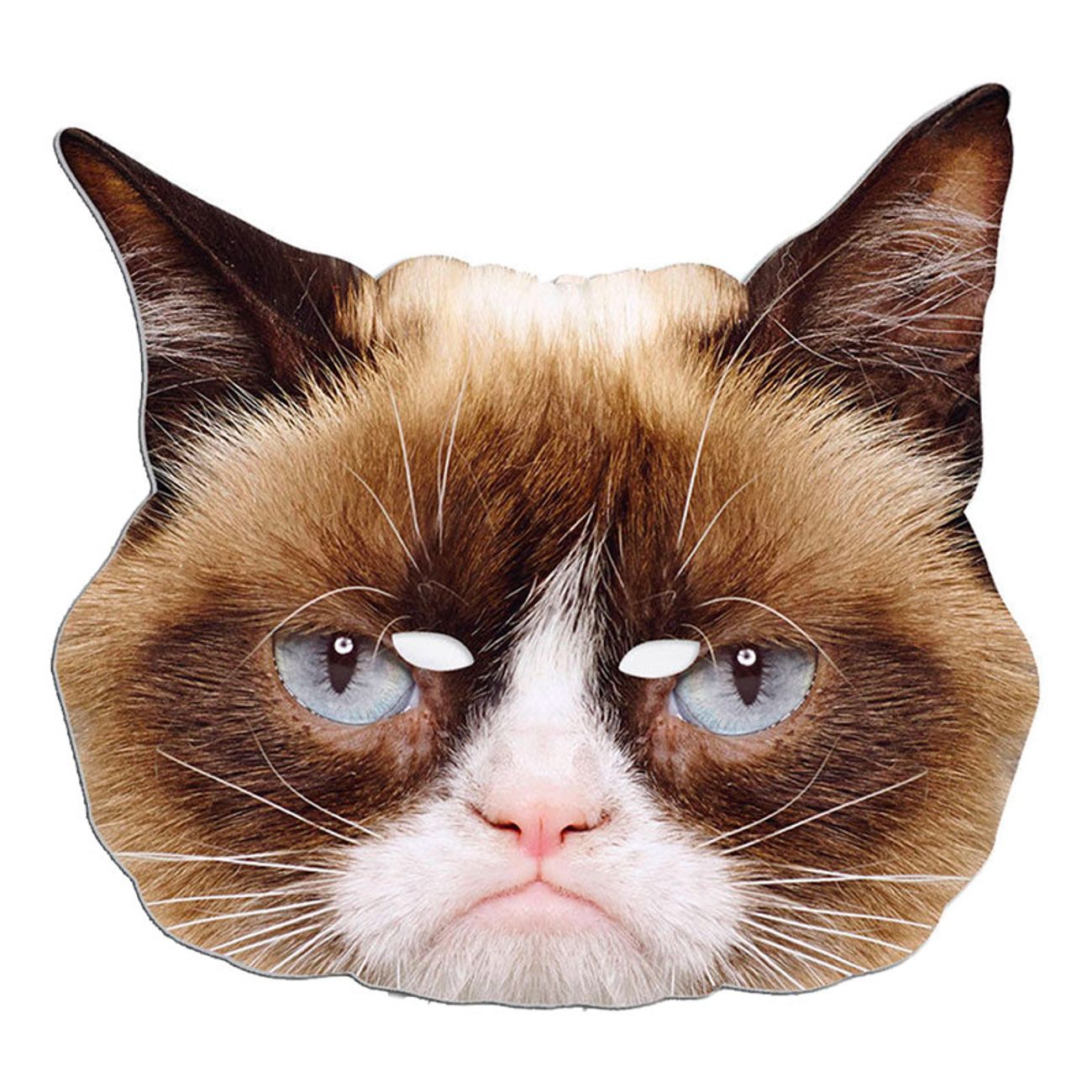 grumpy-cat-pappmask-1