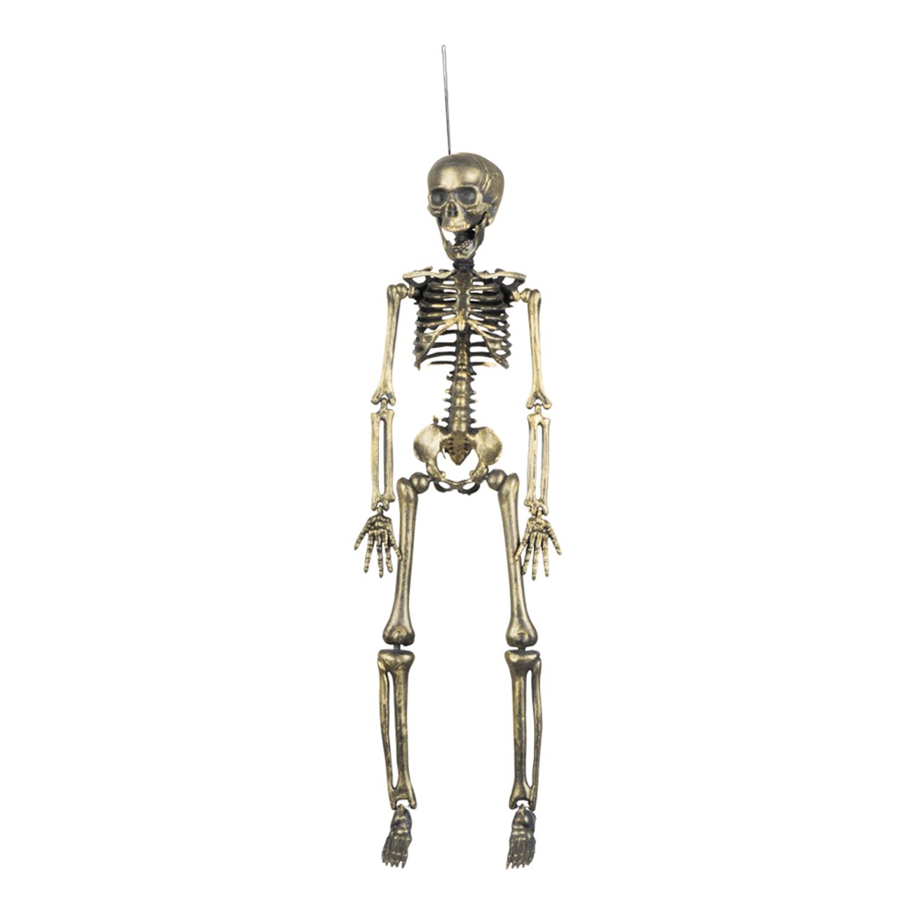 guldfargat-skelett-1