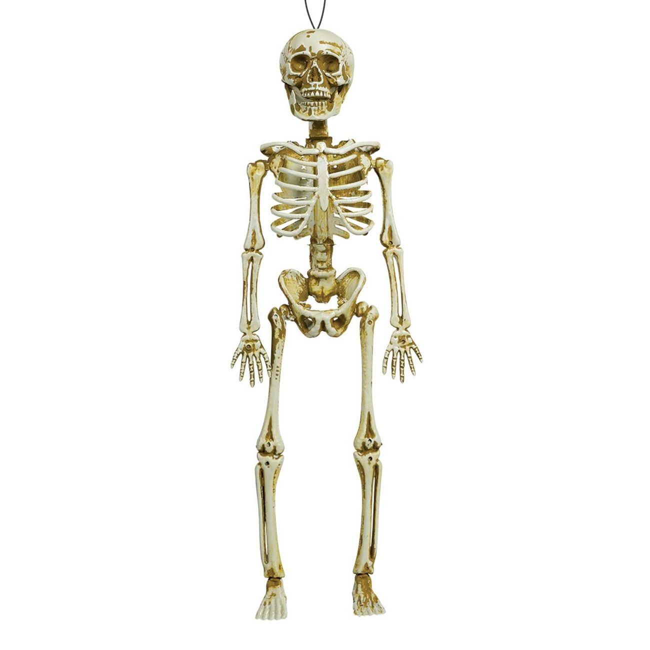 hangande-skelett-97517-1