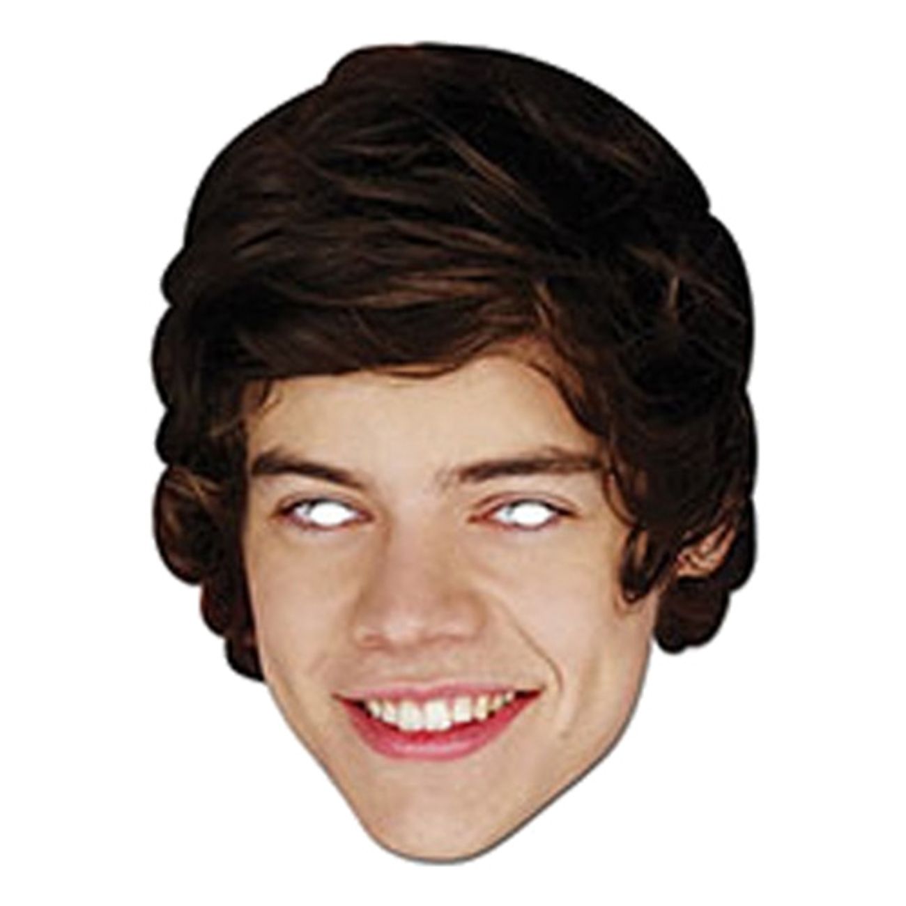 harry-styles-pappmask-1